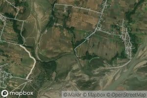 Distributary Number Three