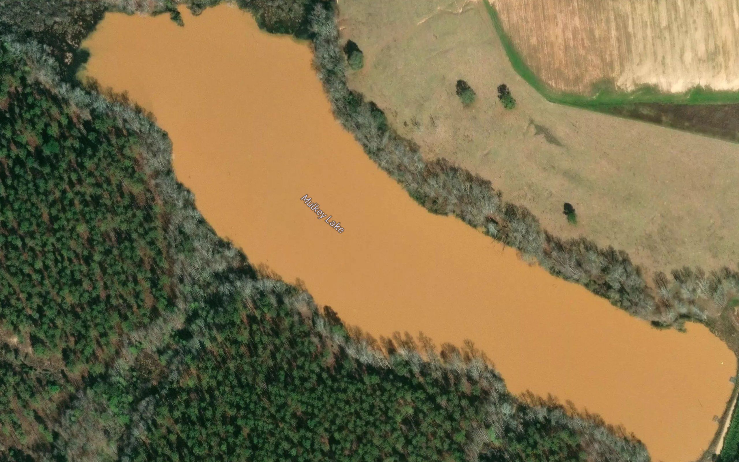 Mulkey Lake