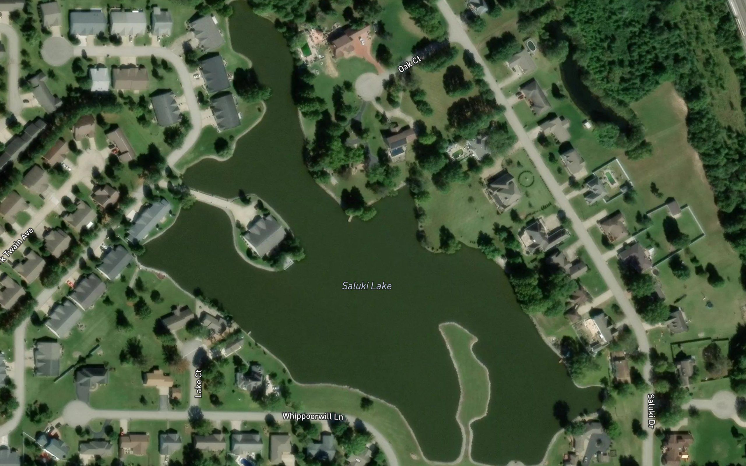Saluki Lake