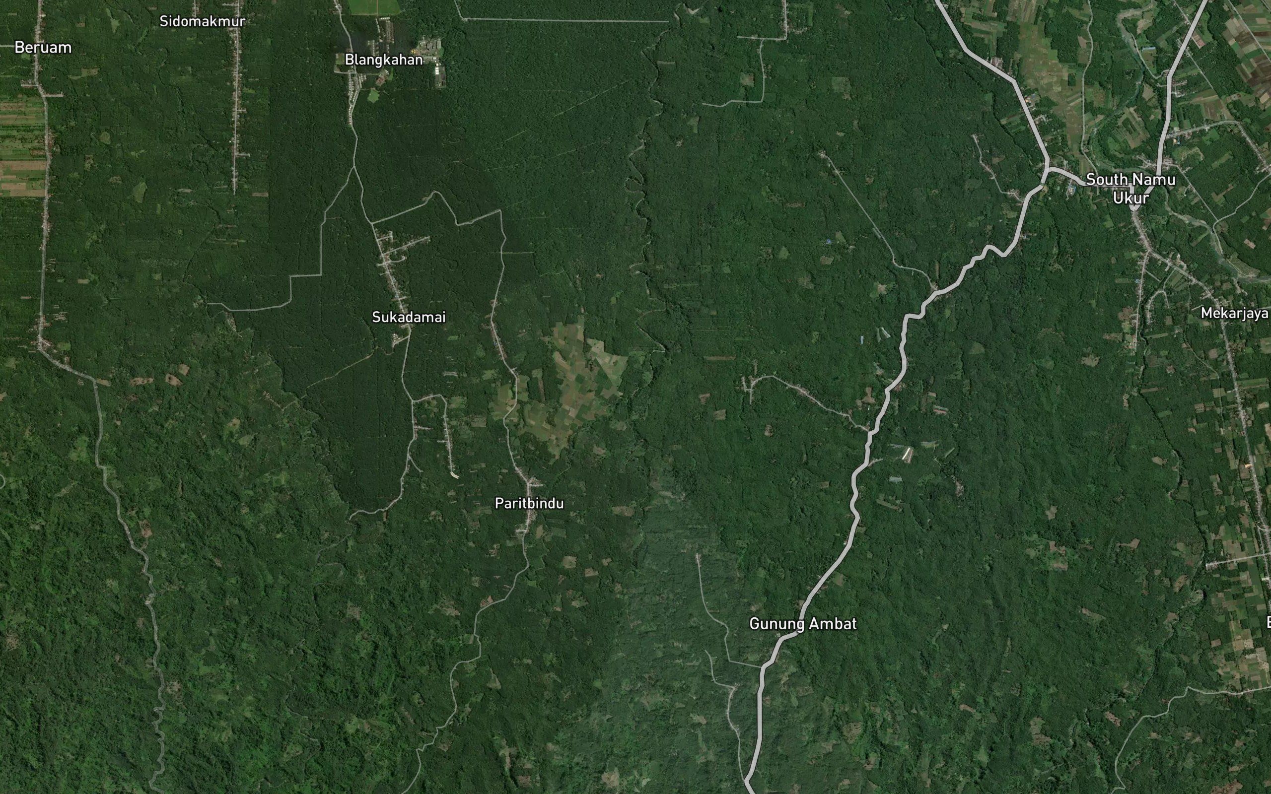 Lao Bangharimau