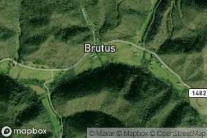 Lucey Branch