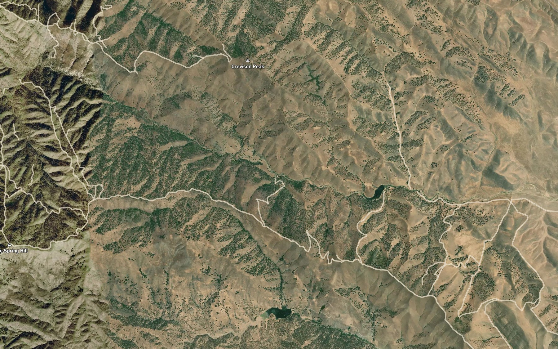 Satellite map of the McDowell Spring