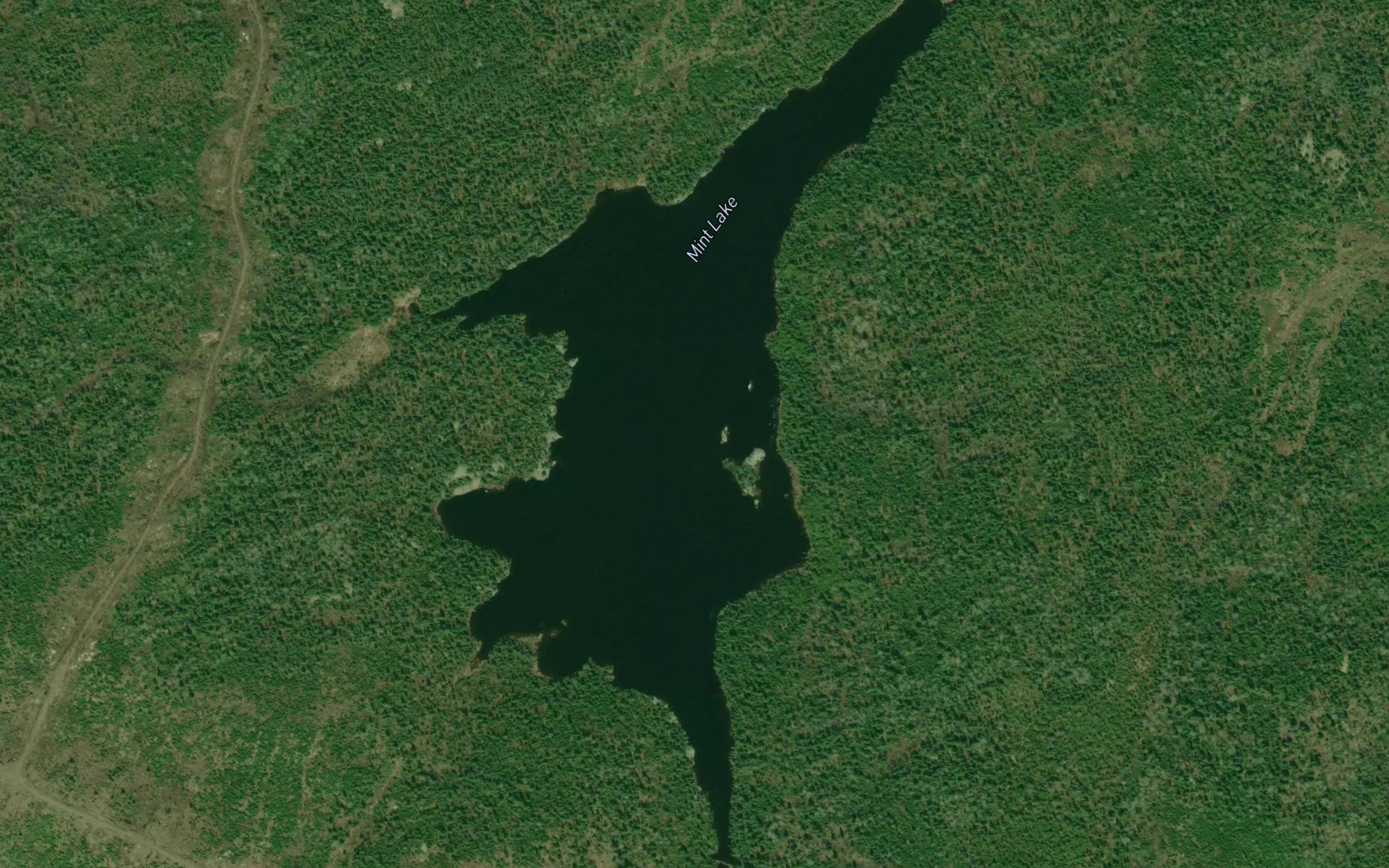Mint Lake