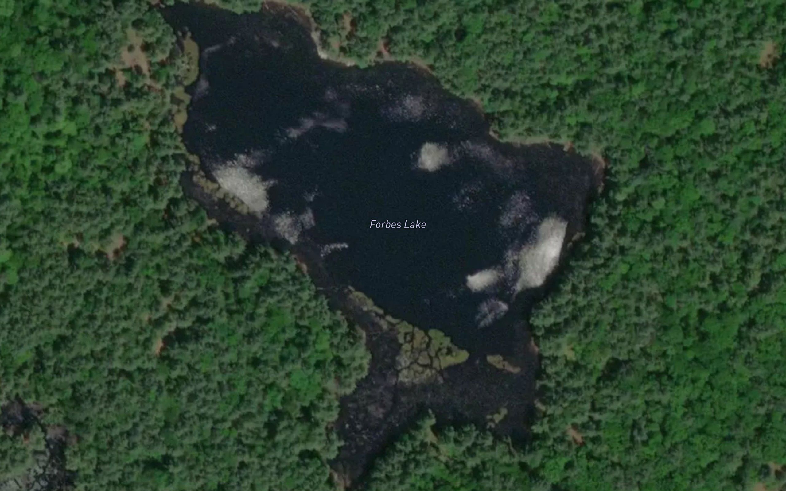 Forbes Lake