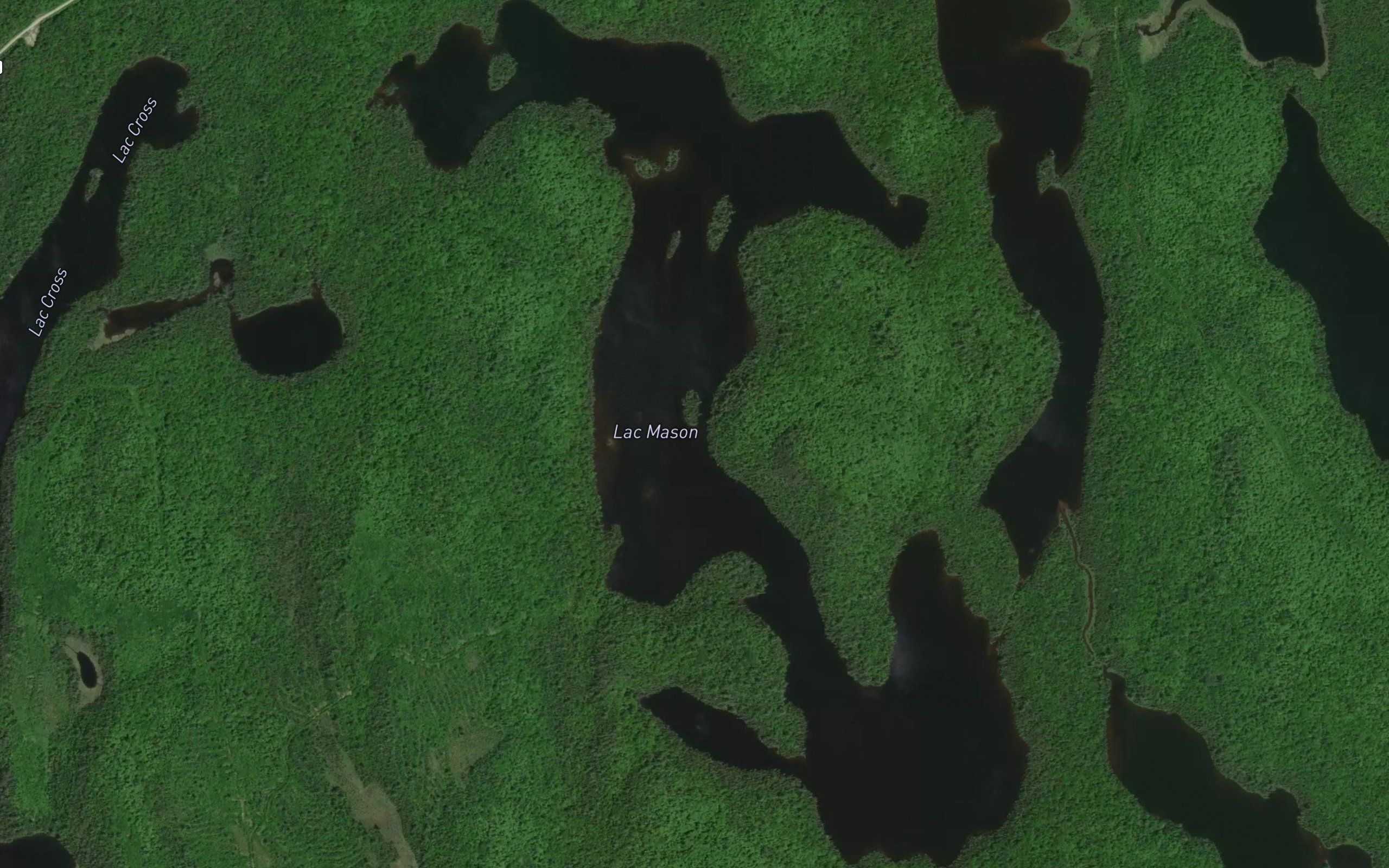Lac Mason