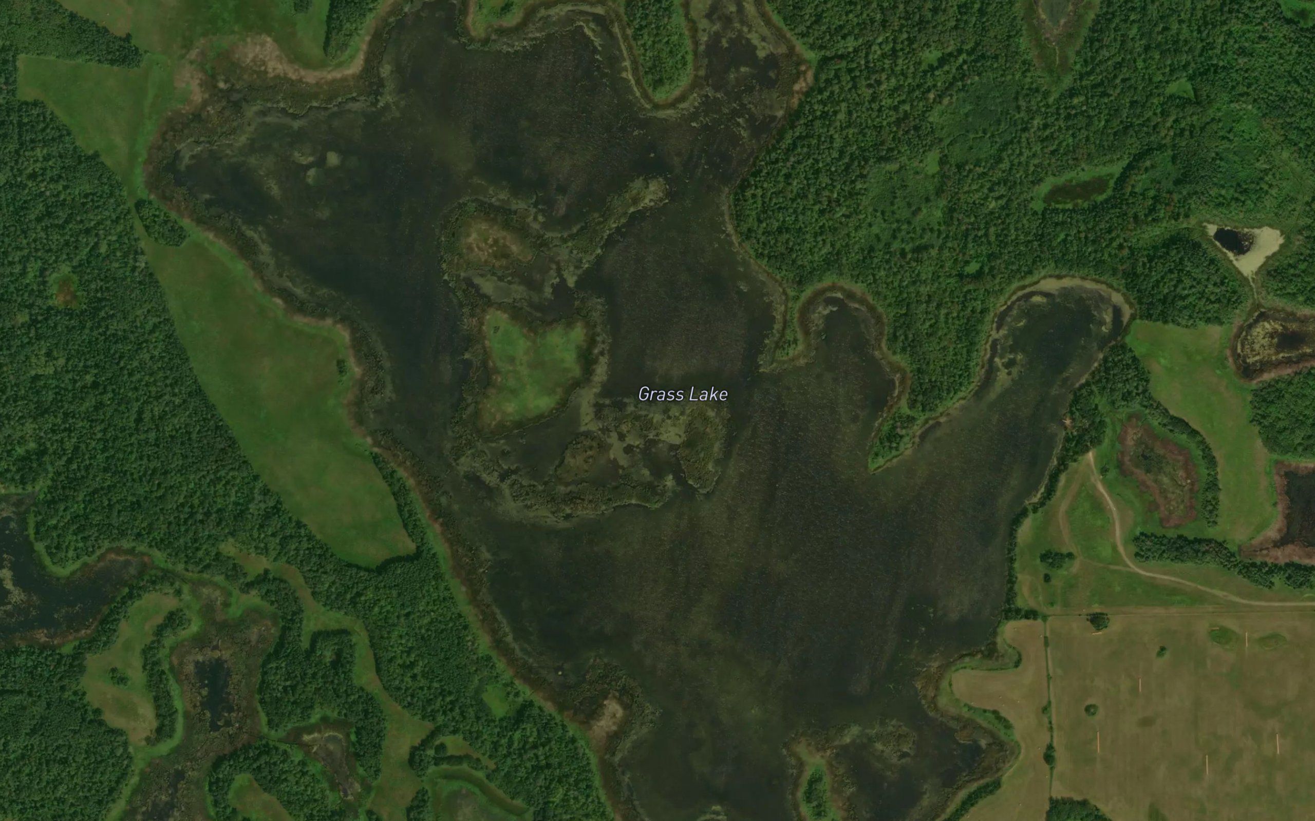 Grass Lake