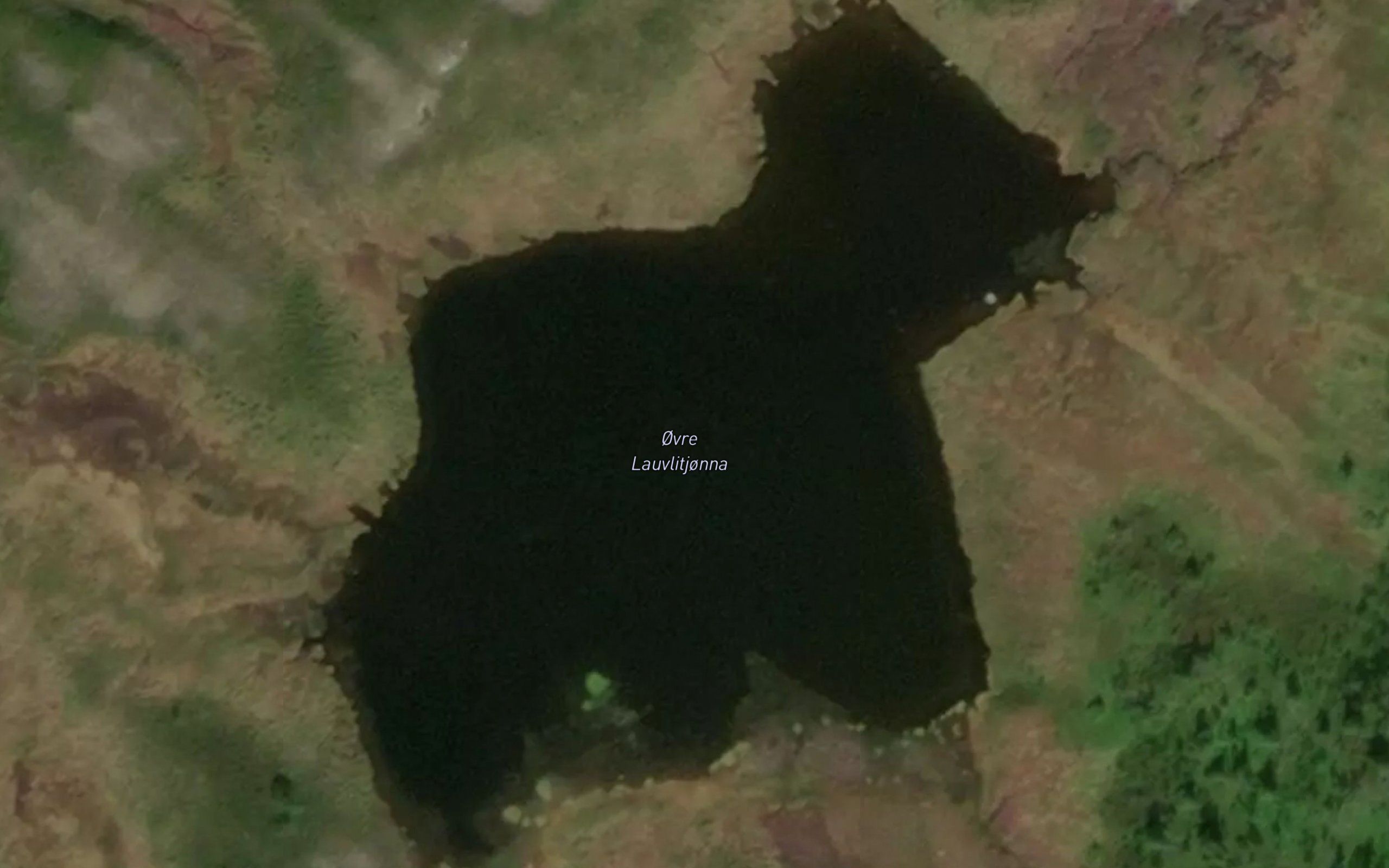 Ovre Lauvlitjonna