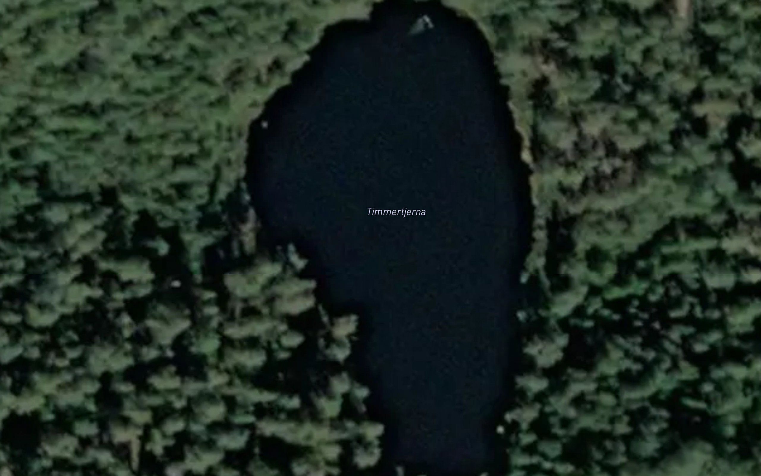 Timmertjerna