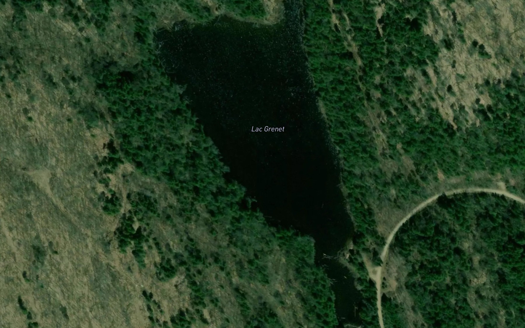 Satellite map of the Lac Grenet