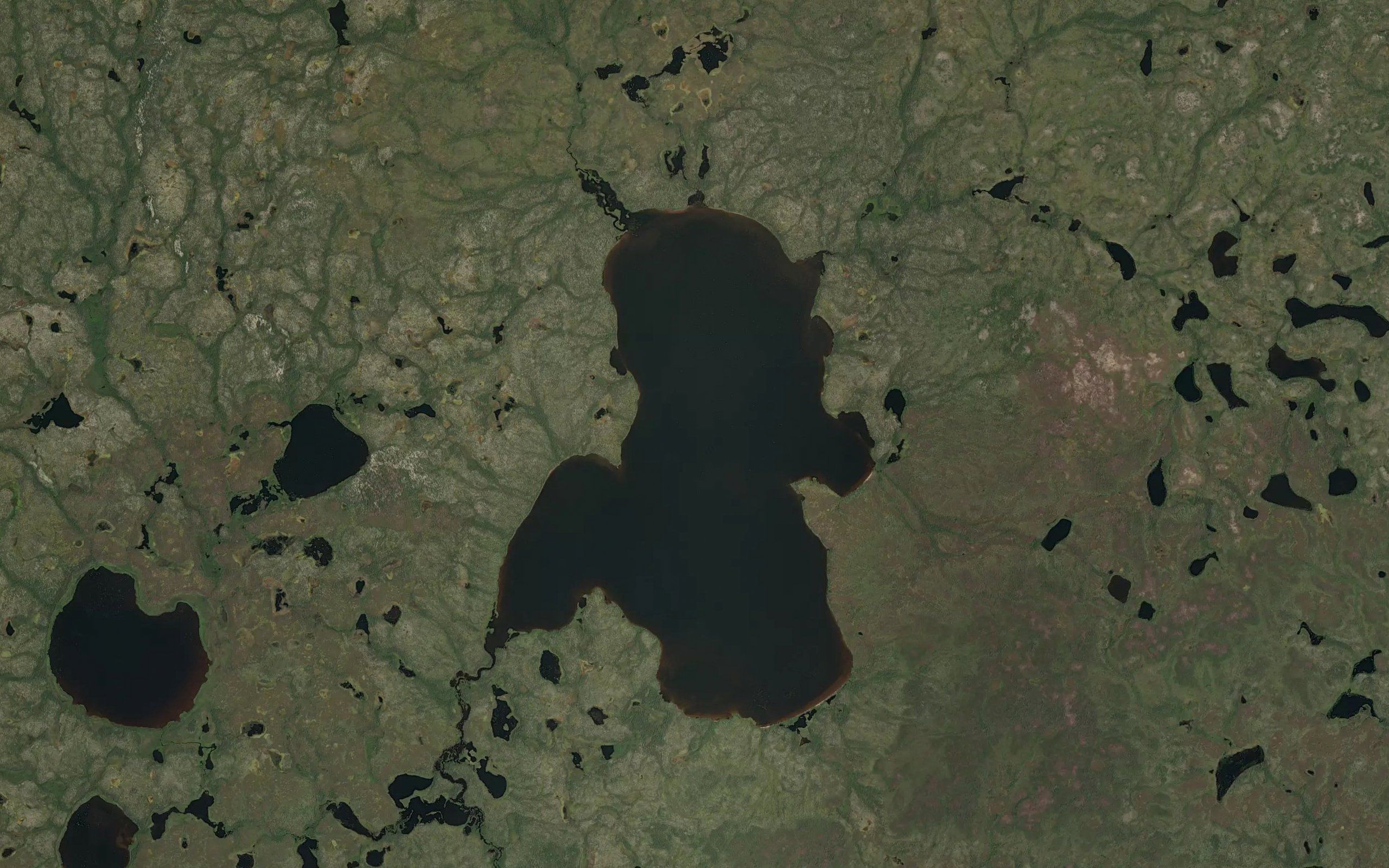 McNicol Lake