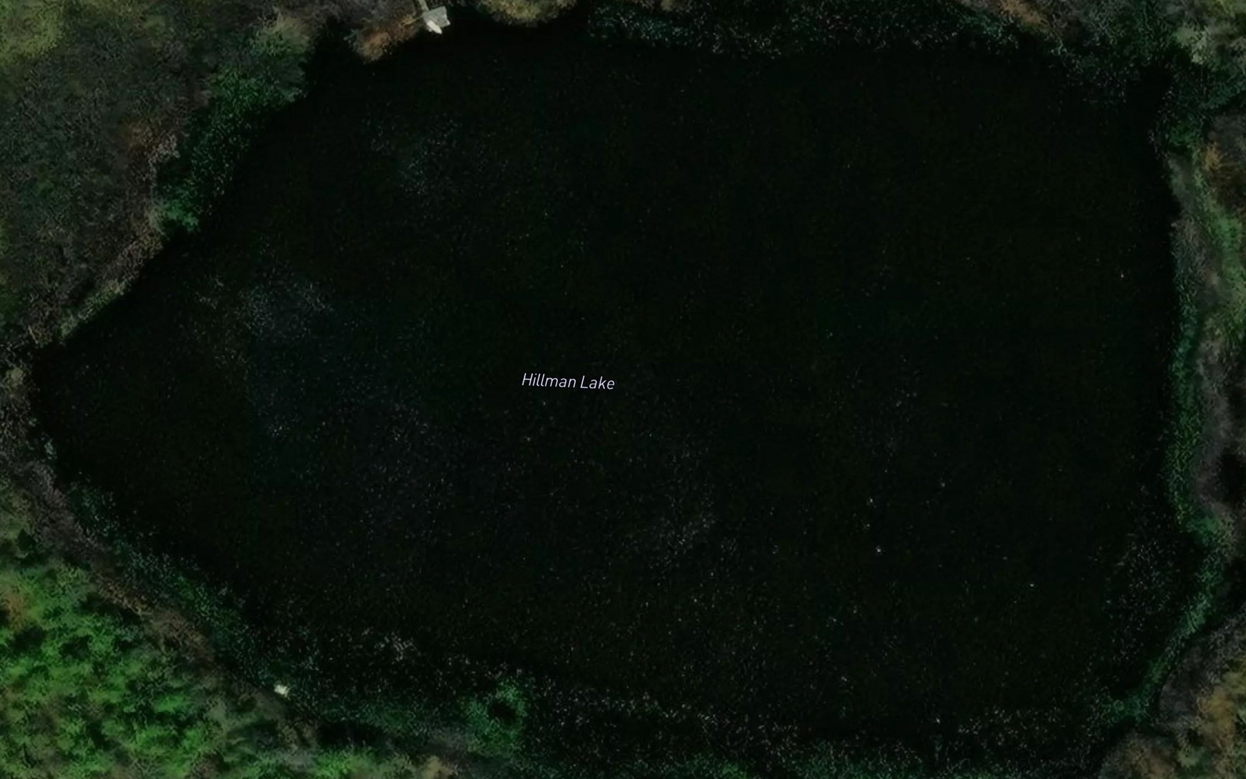 Satellite map of the Hillman Lake