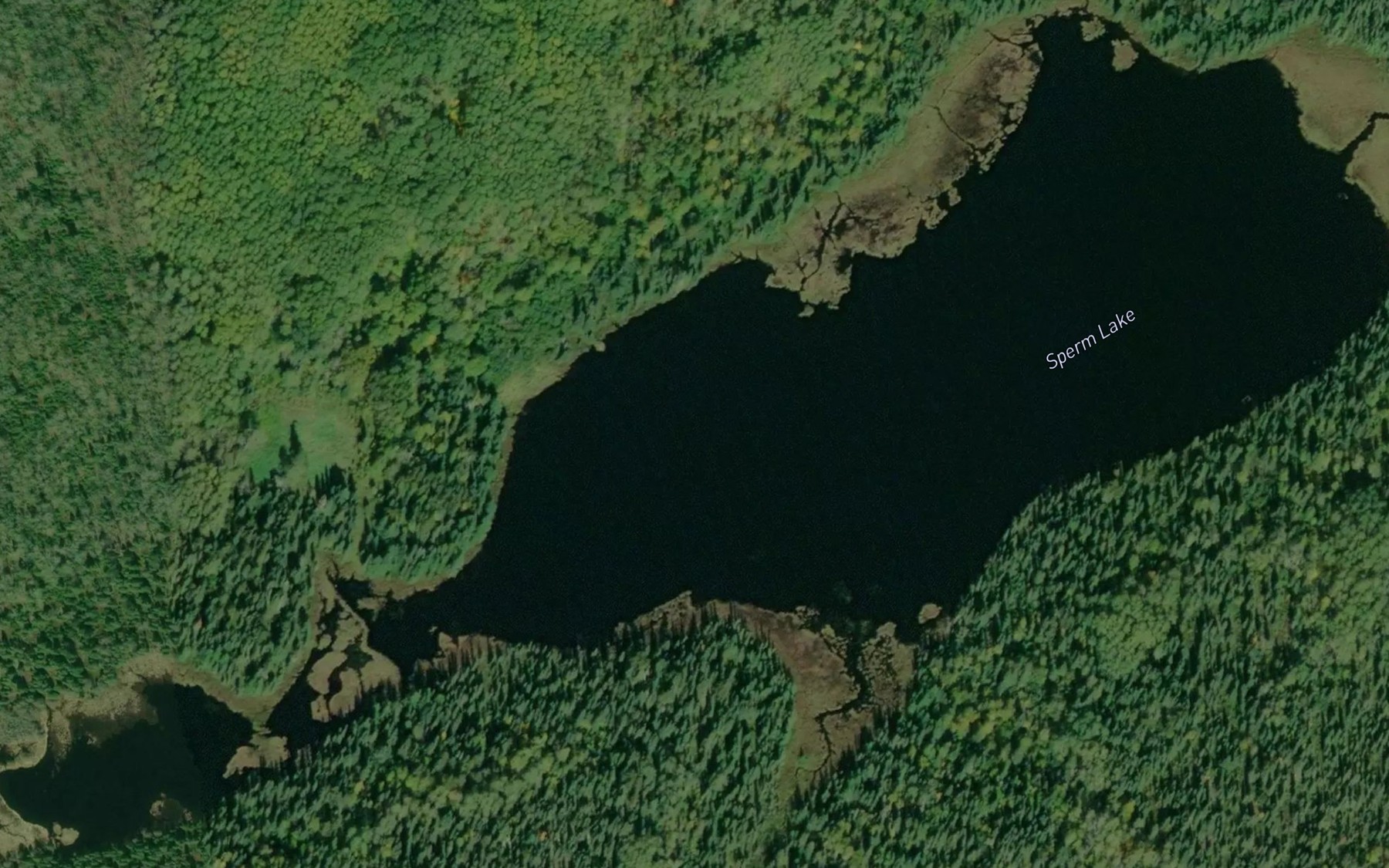 Satellite map of the Sperm Lake