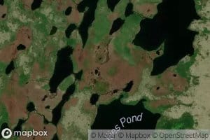 Follies Pond