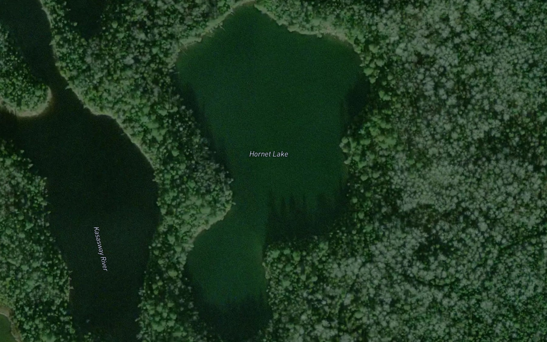 Satellite map of the Hornet Lake