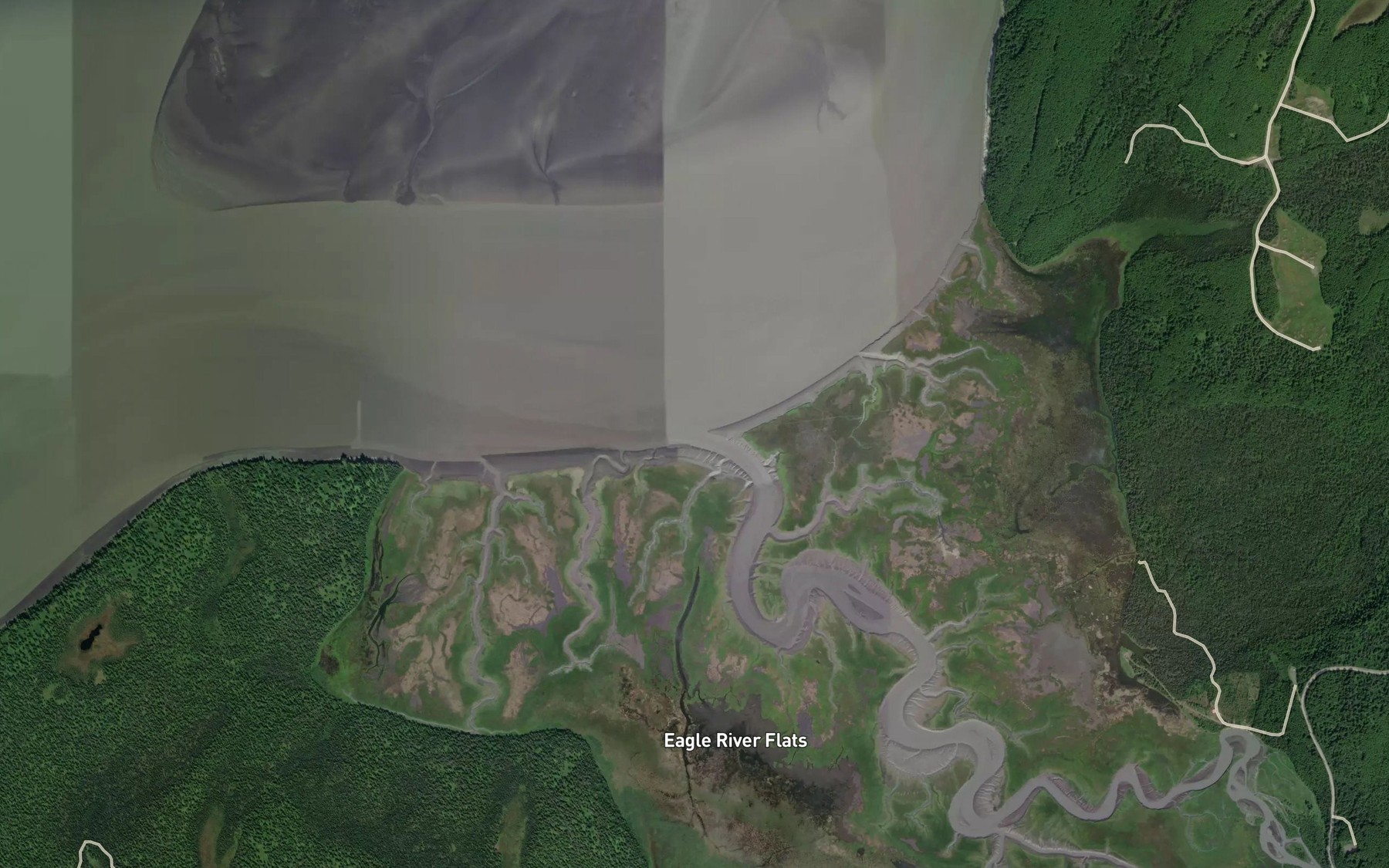 Eagle River Fishing in Alaska 2026 — Live Reports, Forecast & AI ...