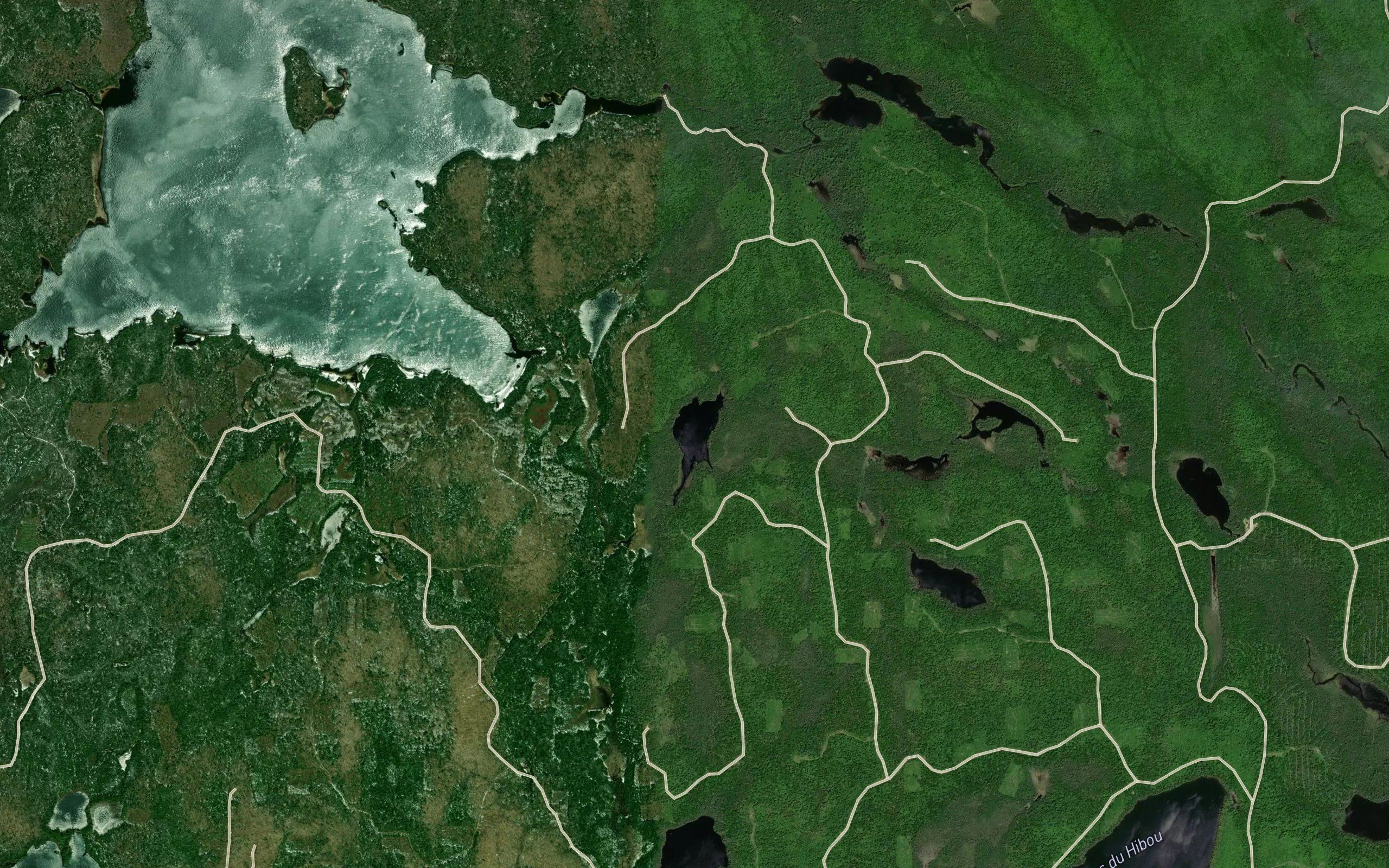 Lac Hartman