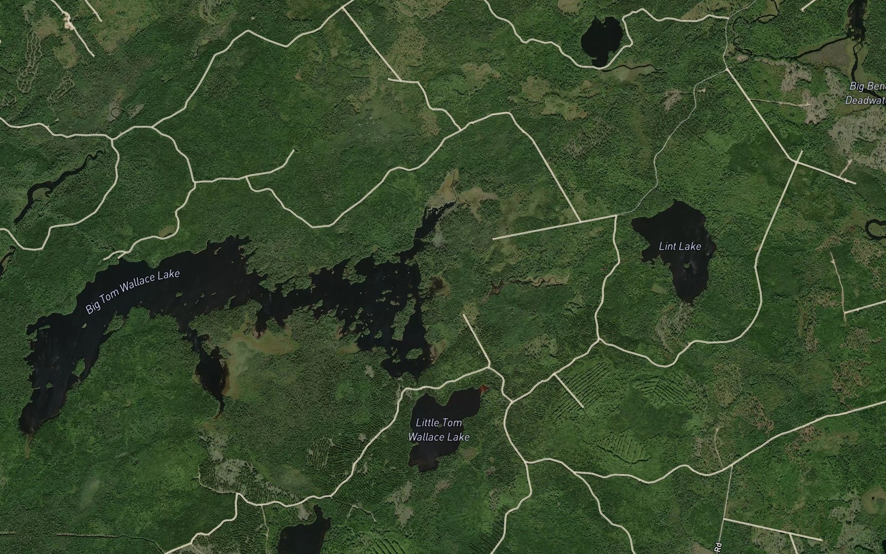 Satellite map of the Lint Lake Brook
