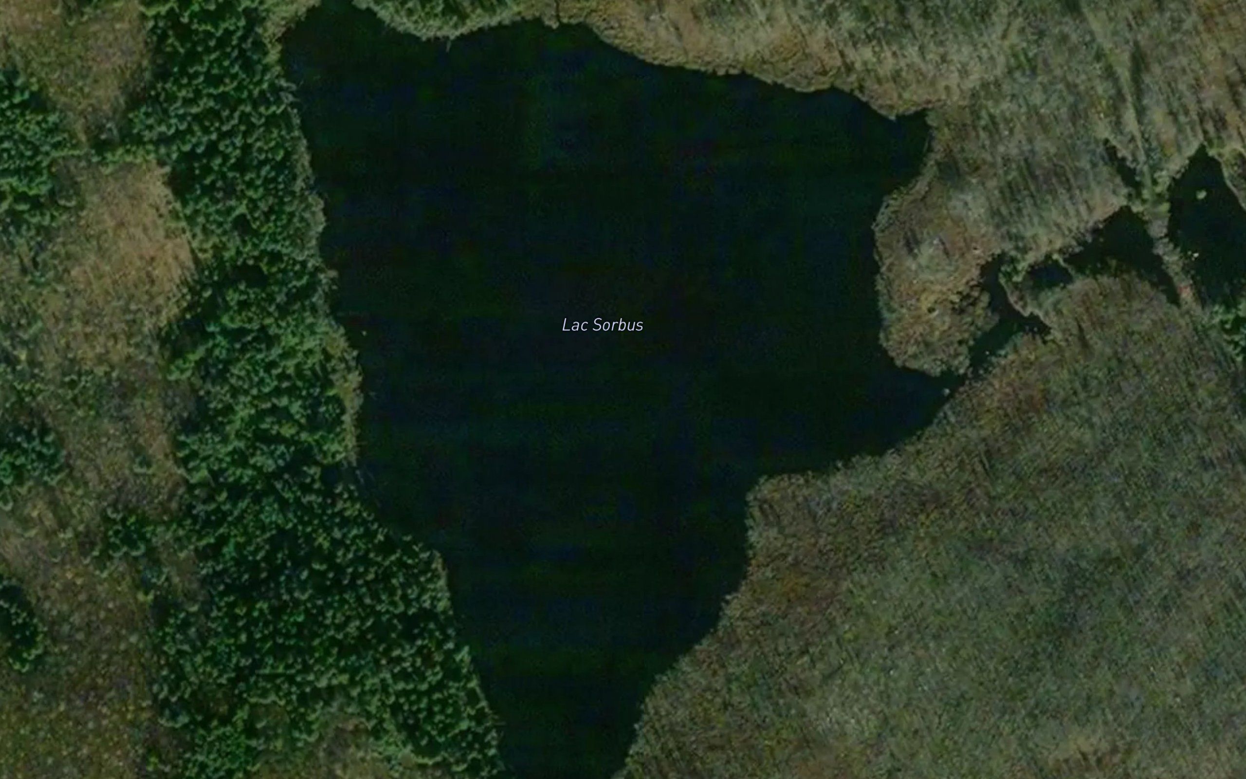 Lac Sorbus