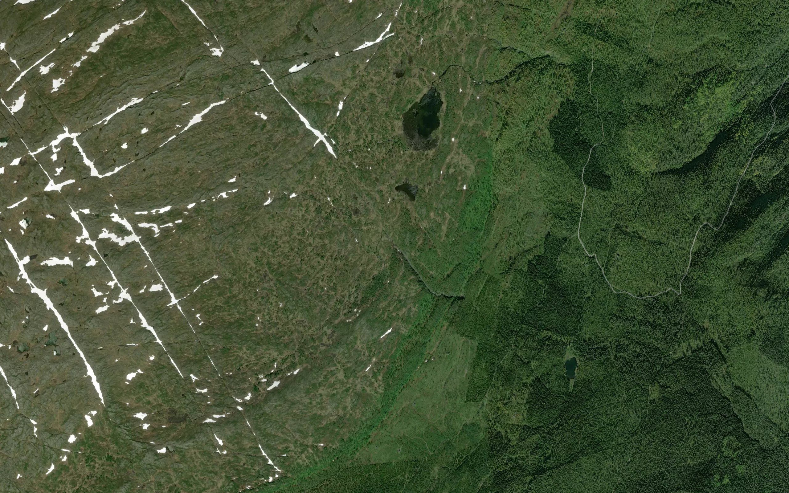 Storkjelen