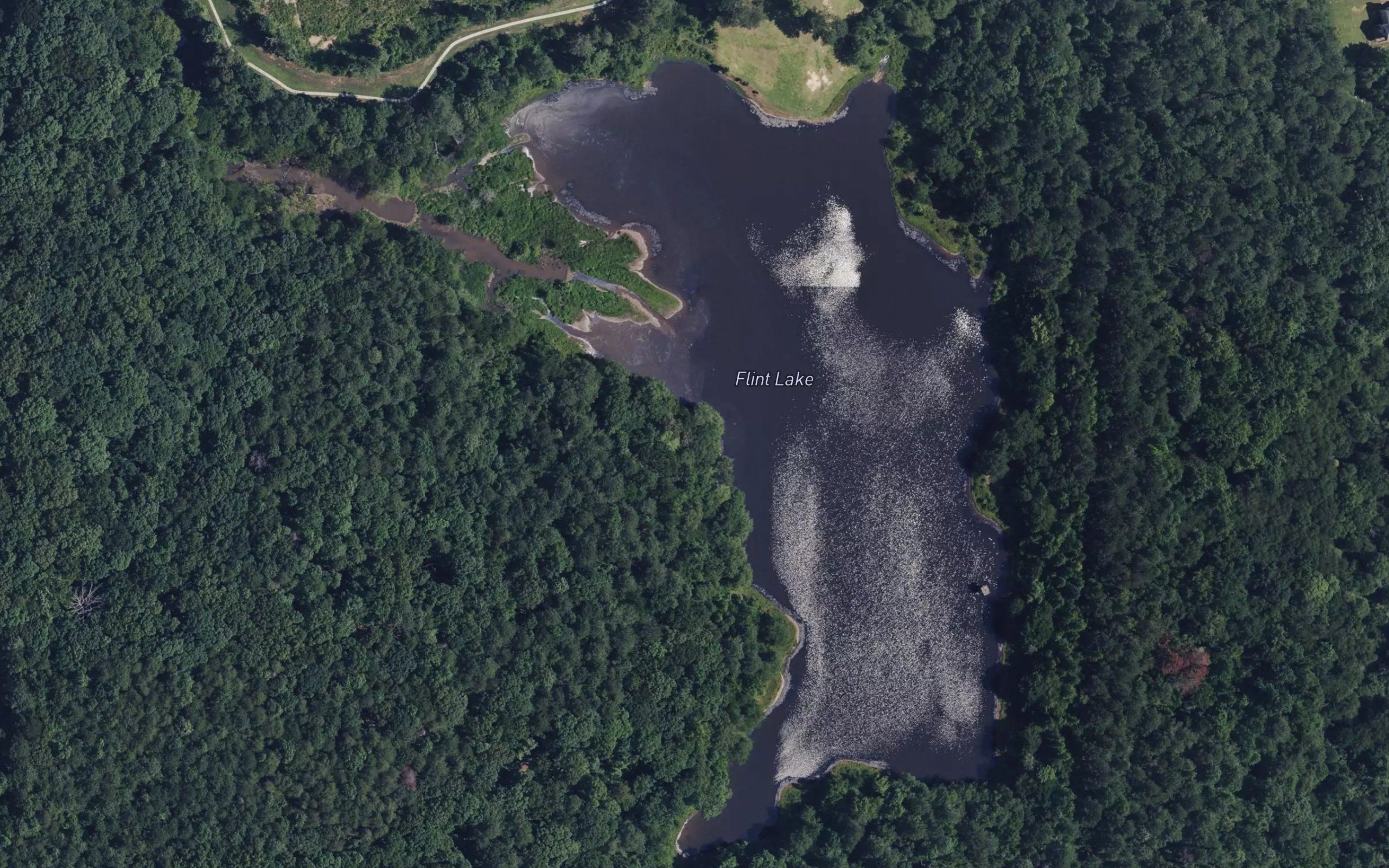 Flint Lake
