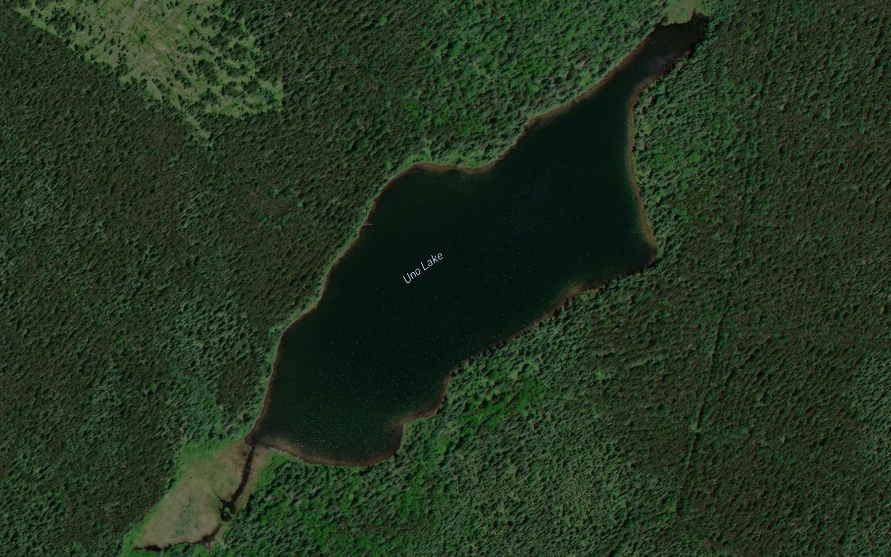 Satellite map of the Uno Lake