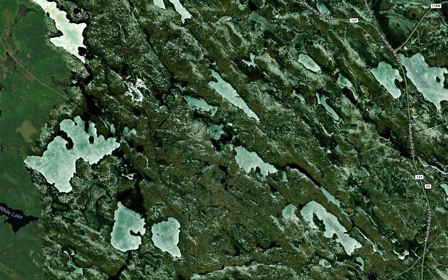 Satellite map of the Stevenson Lake