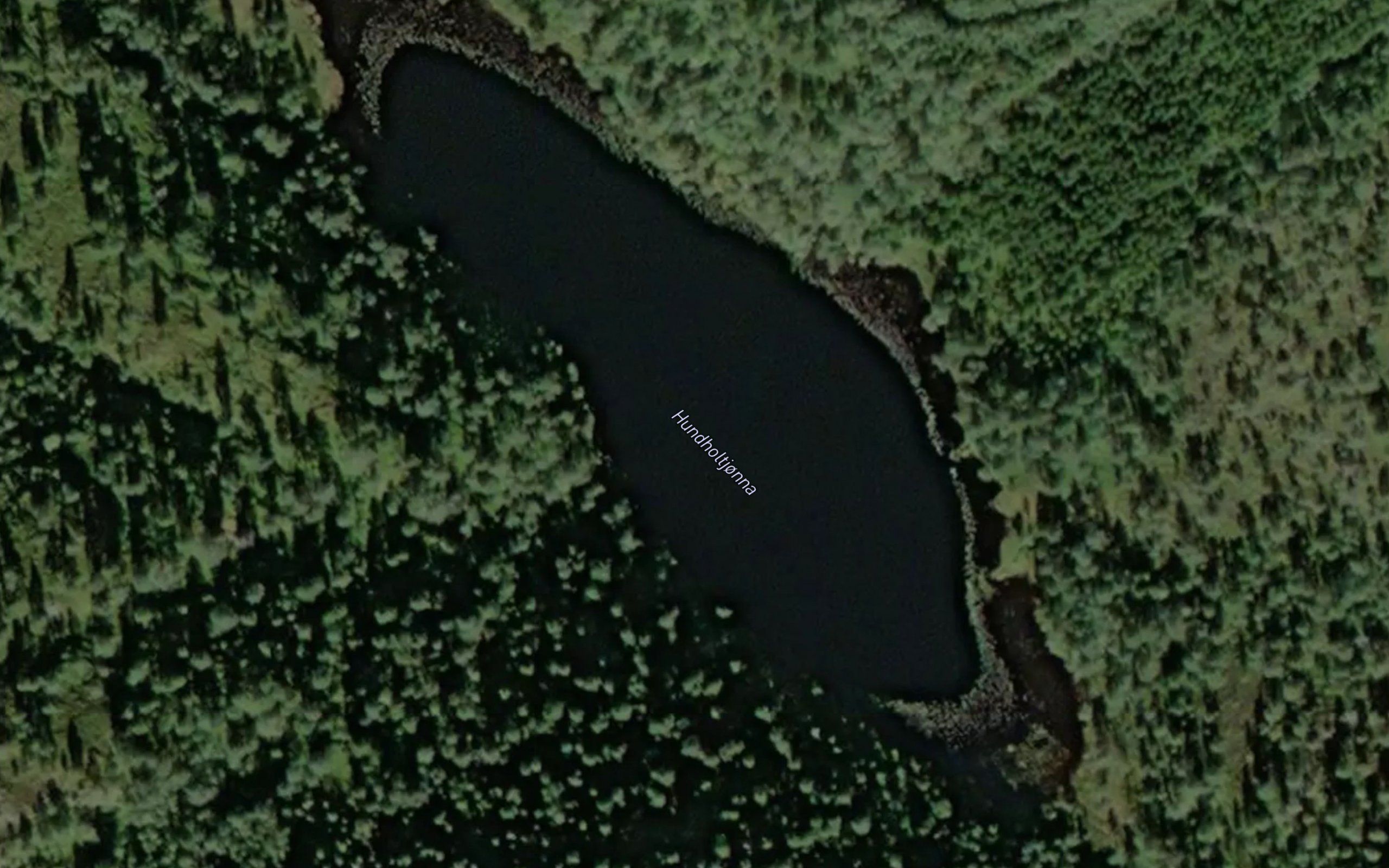 Hundholtjorna