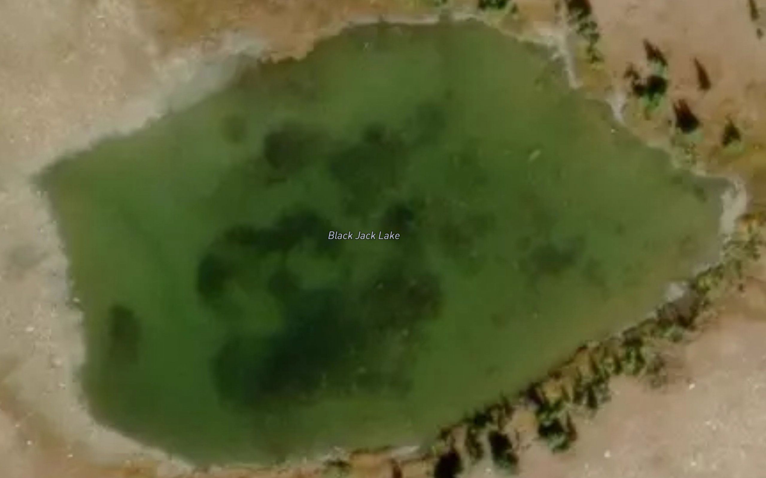 Black Jack Lake