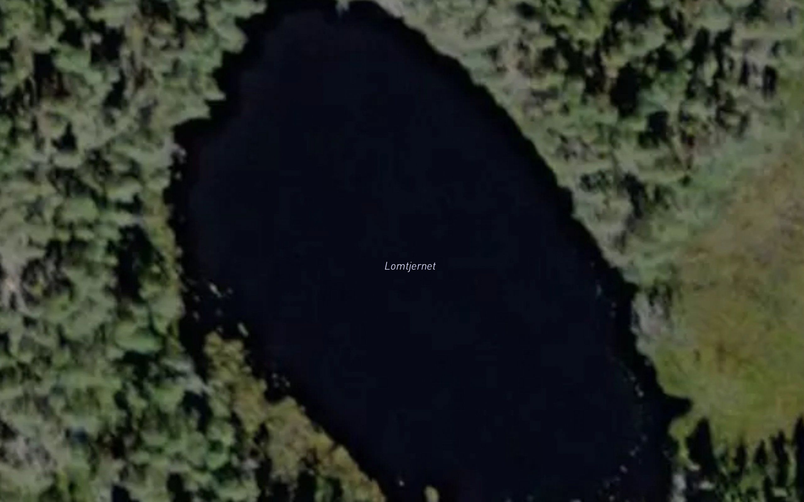 Lomtjernet