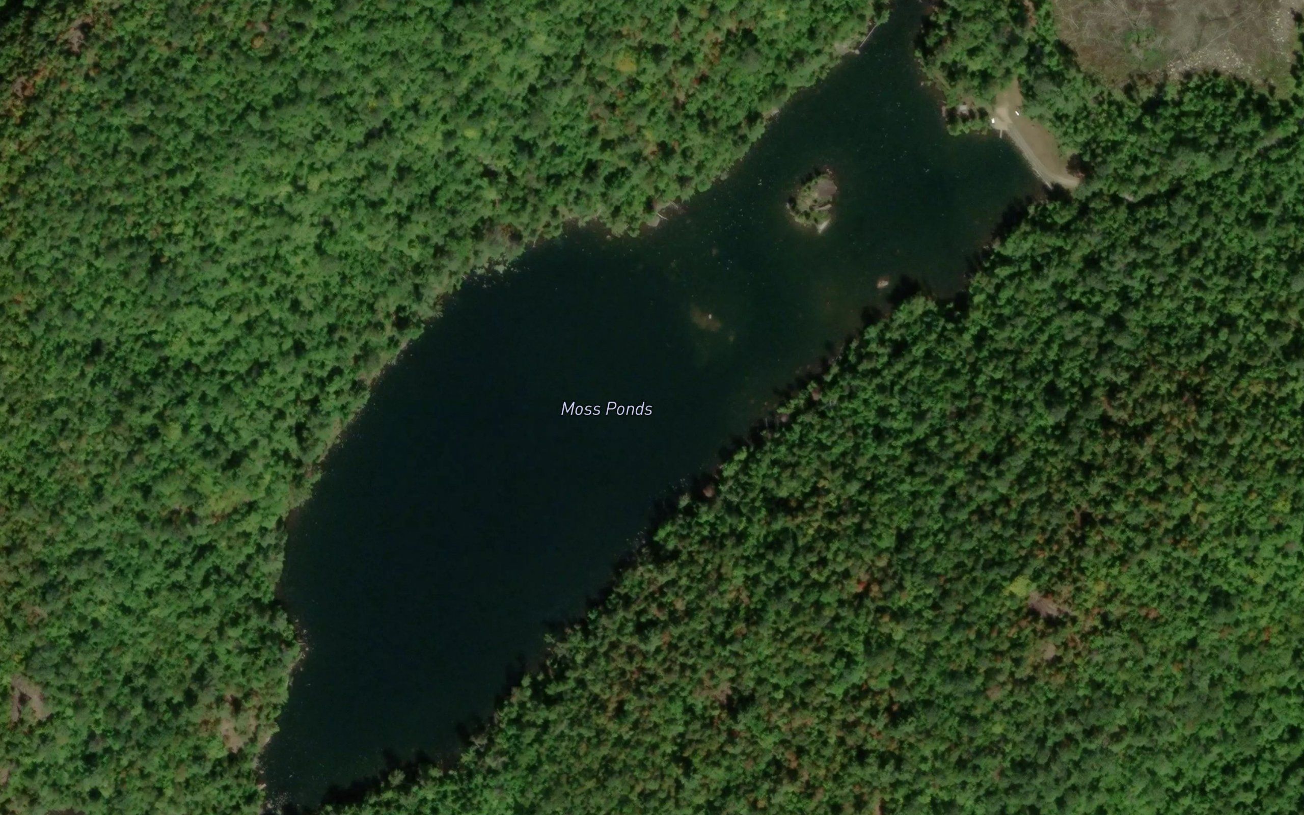 Moss Ponds