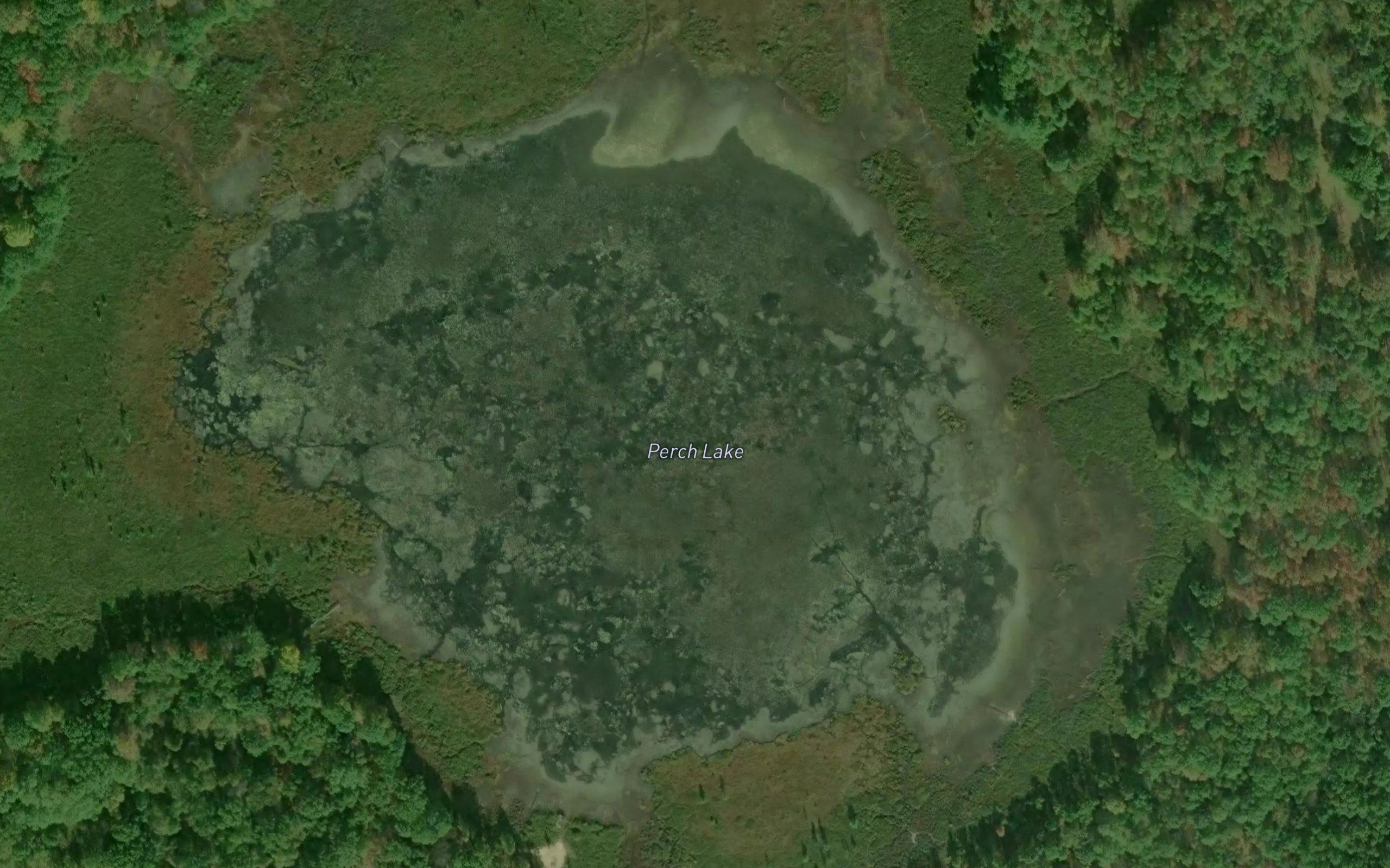 Perch Lake