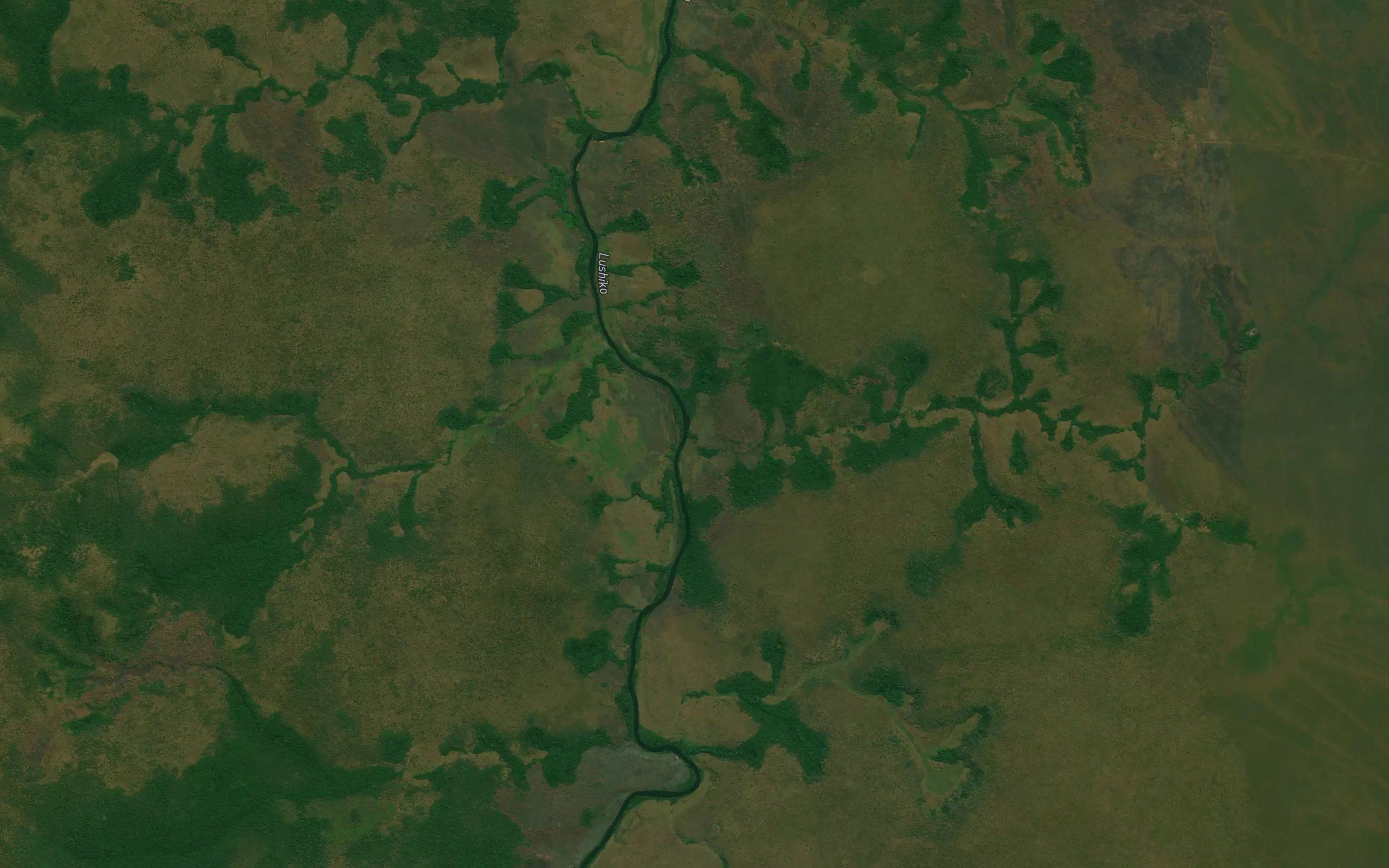 Tchitumbo