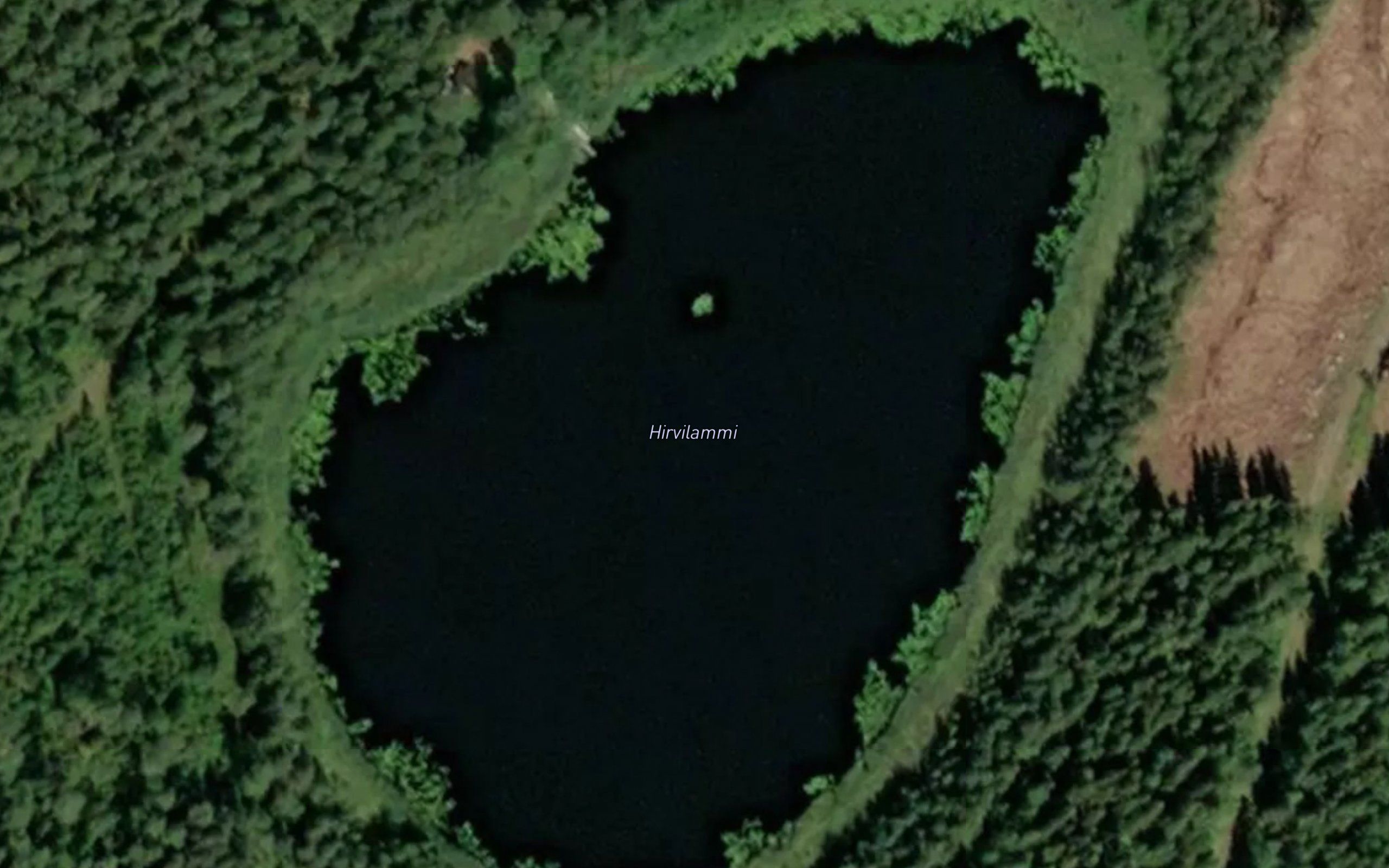 Hirvilammi