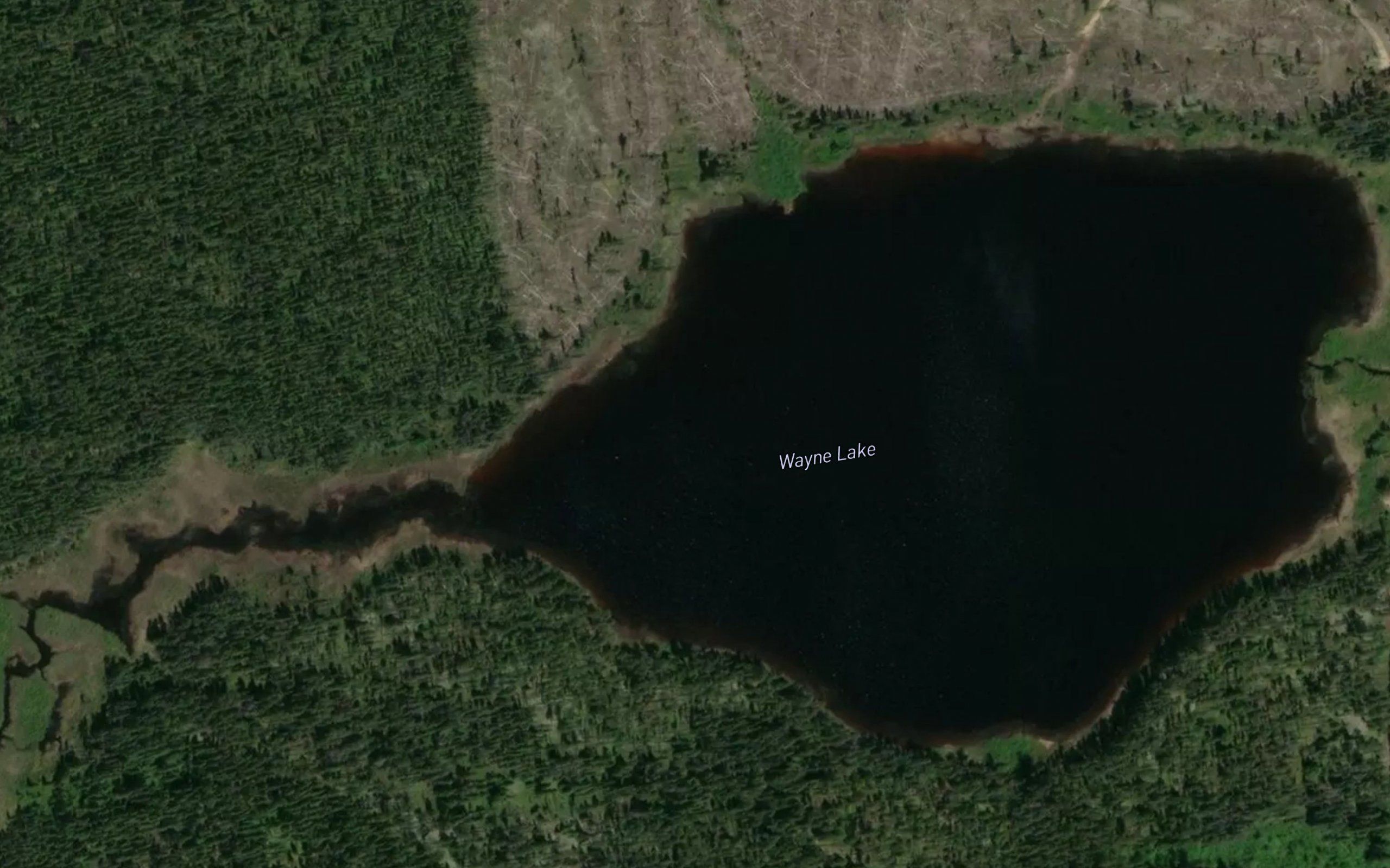 Wayne Lake