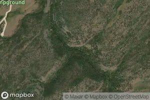 Middle Fork Carter Creek