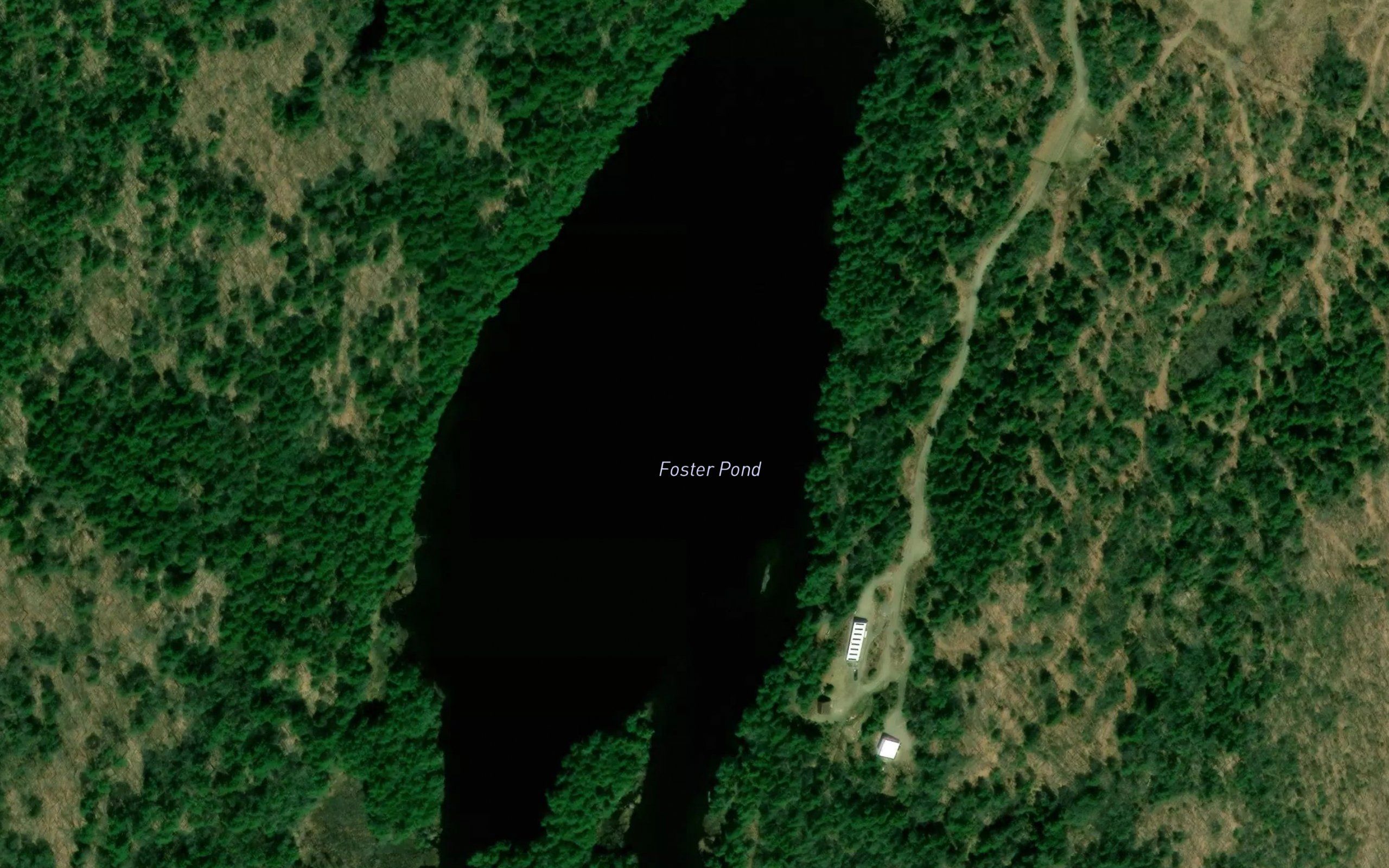 Foster Pond
