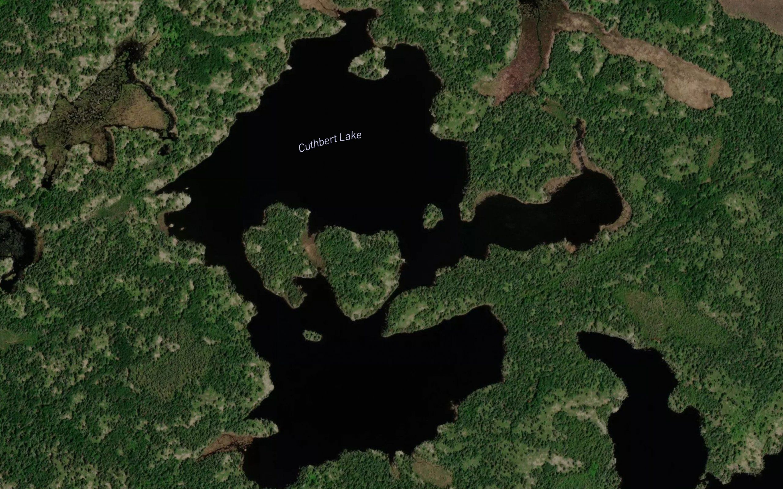 Cuthbert Lake