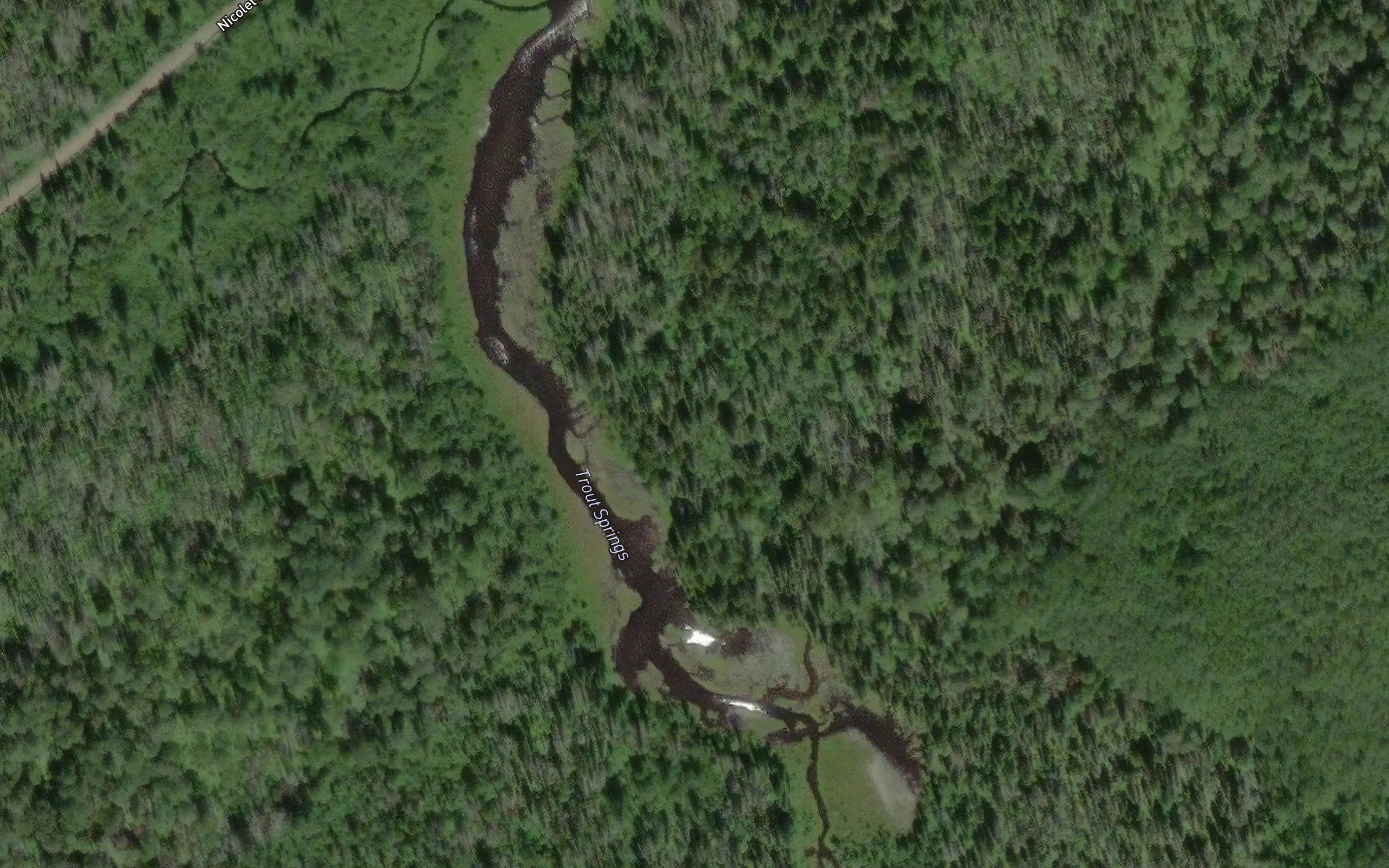 Trout Springs