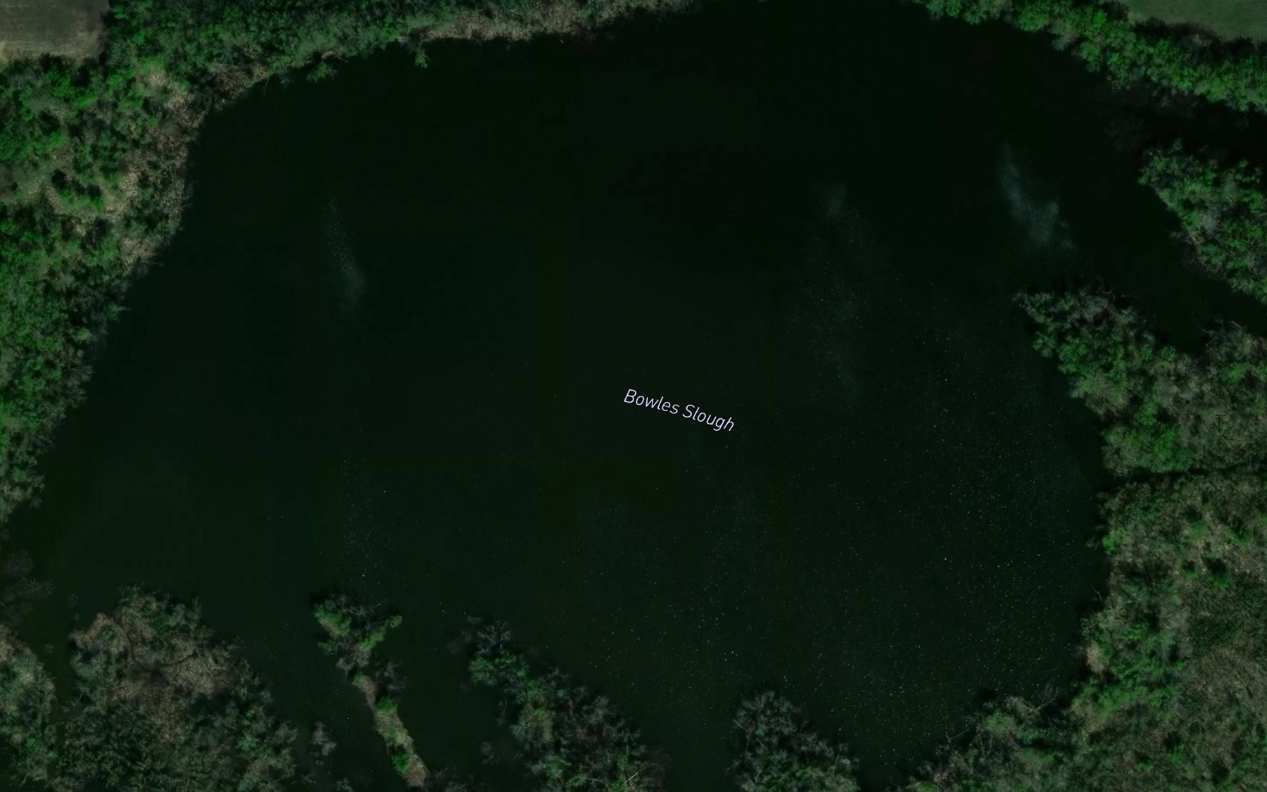Satellite map of the Bowles Slough