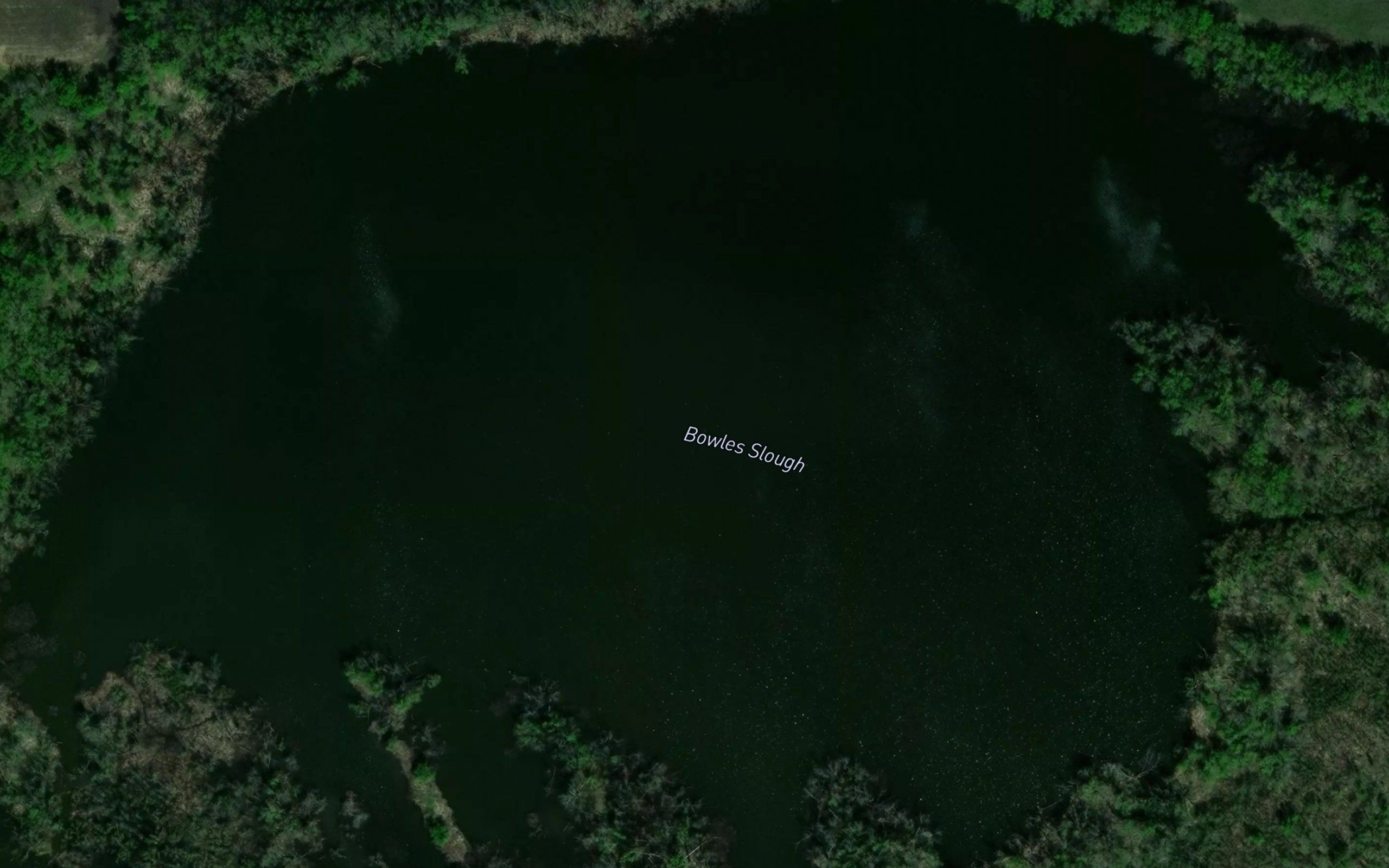Bowles Slough