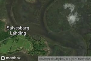 East Branch Boyd Creek