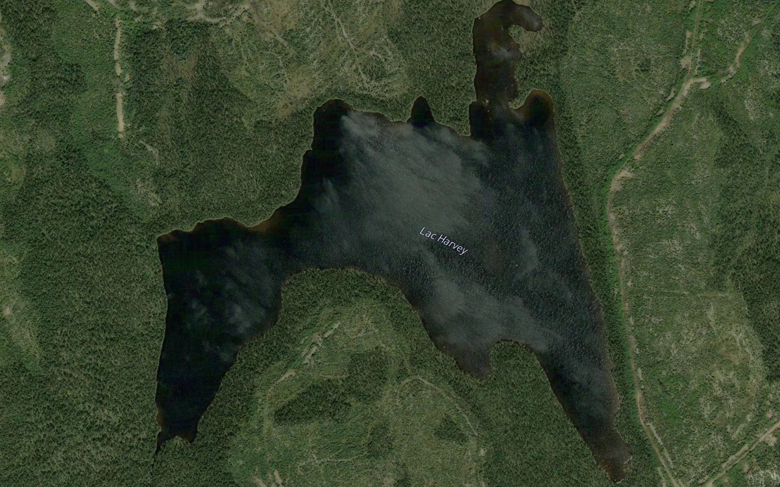 Lac Harvey