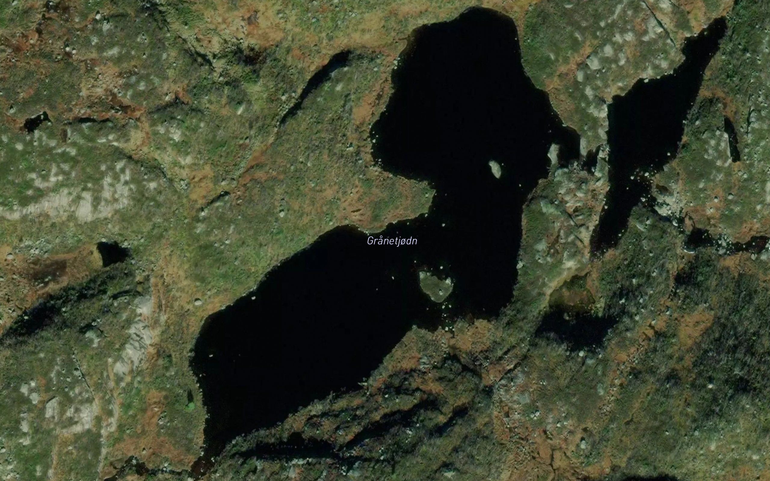 Granetjorn