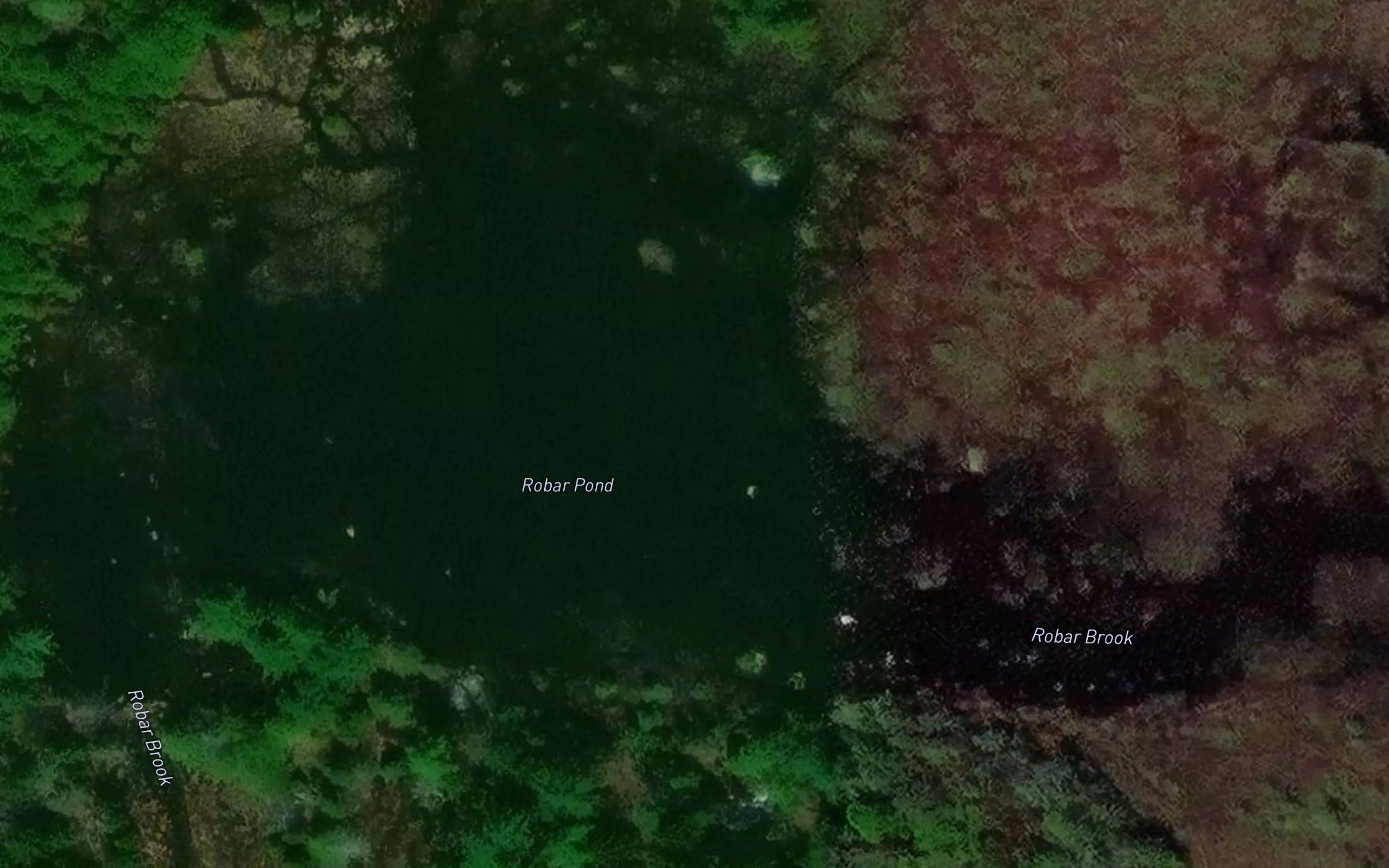 Rober Pond