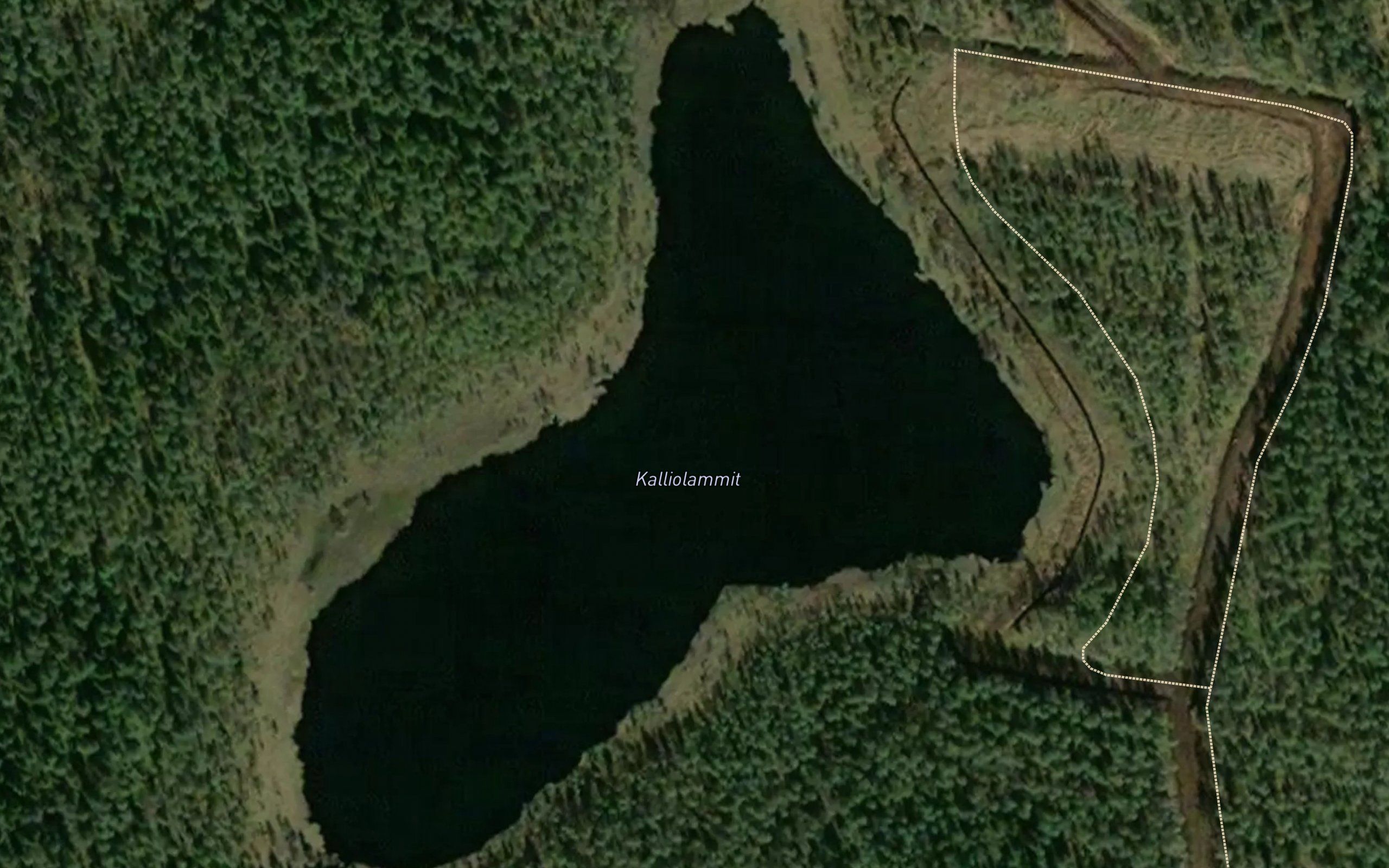Kalliolammit