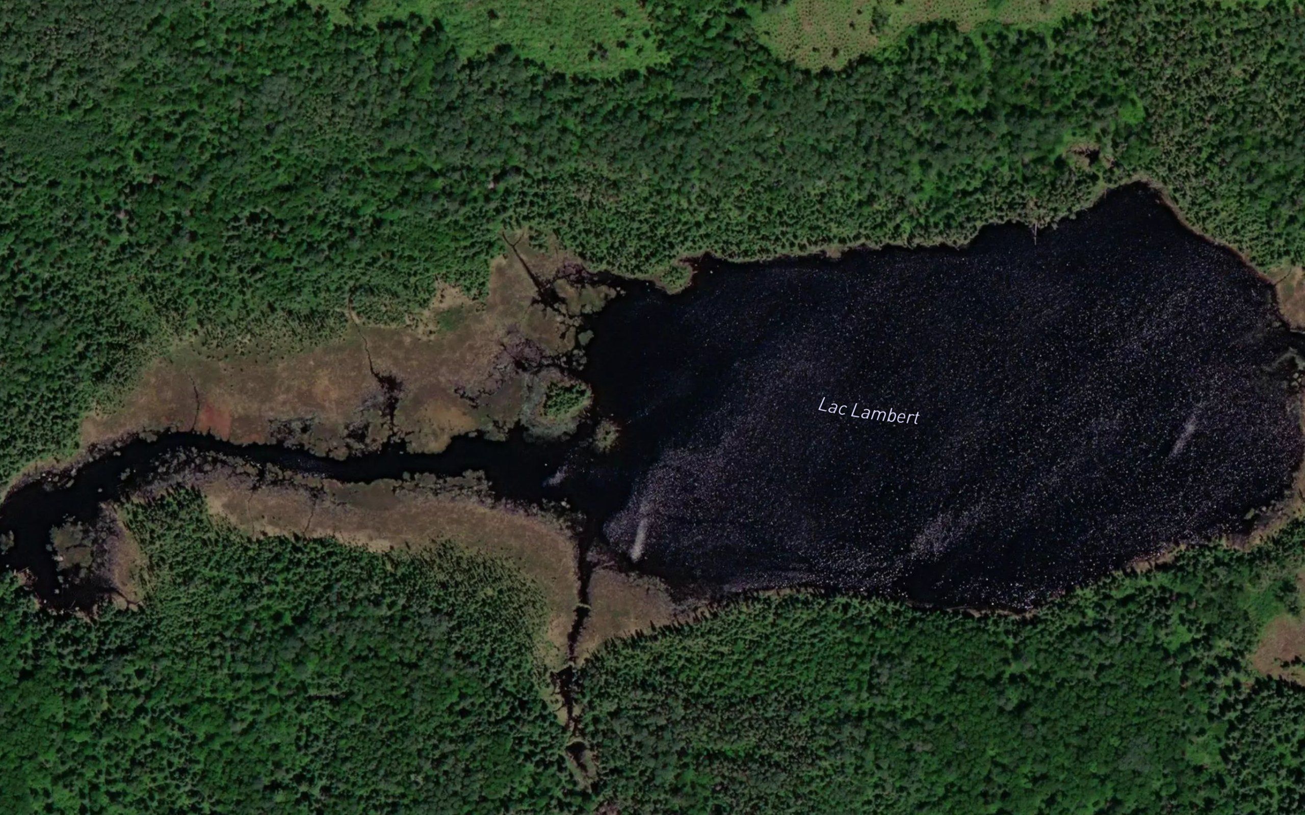 Lac Lambert