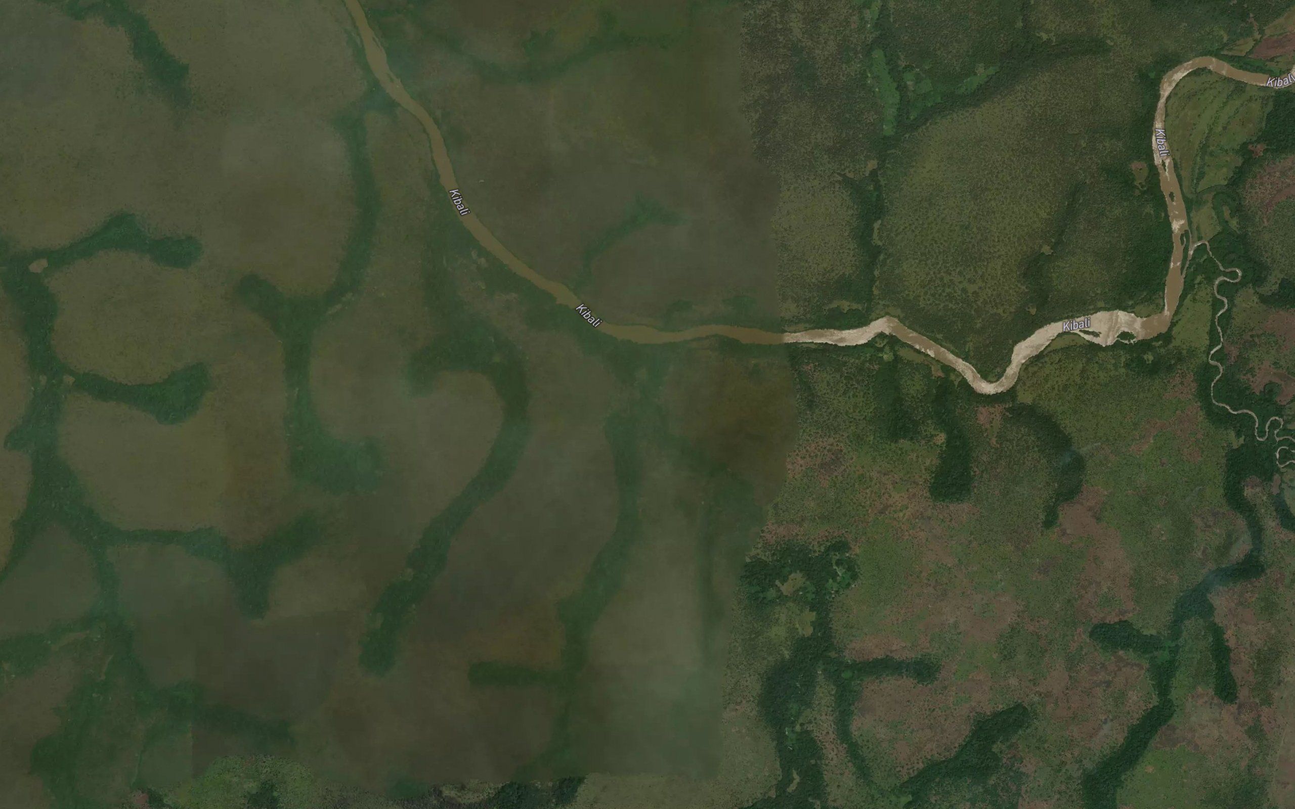 Nadi