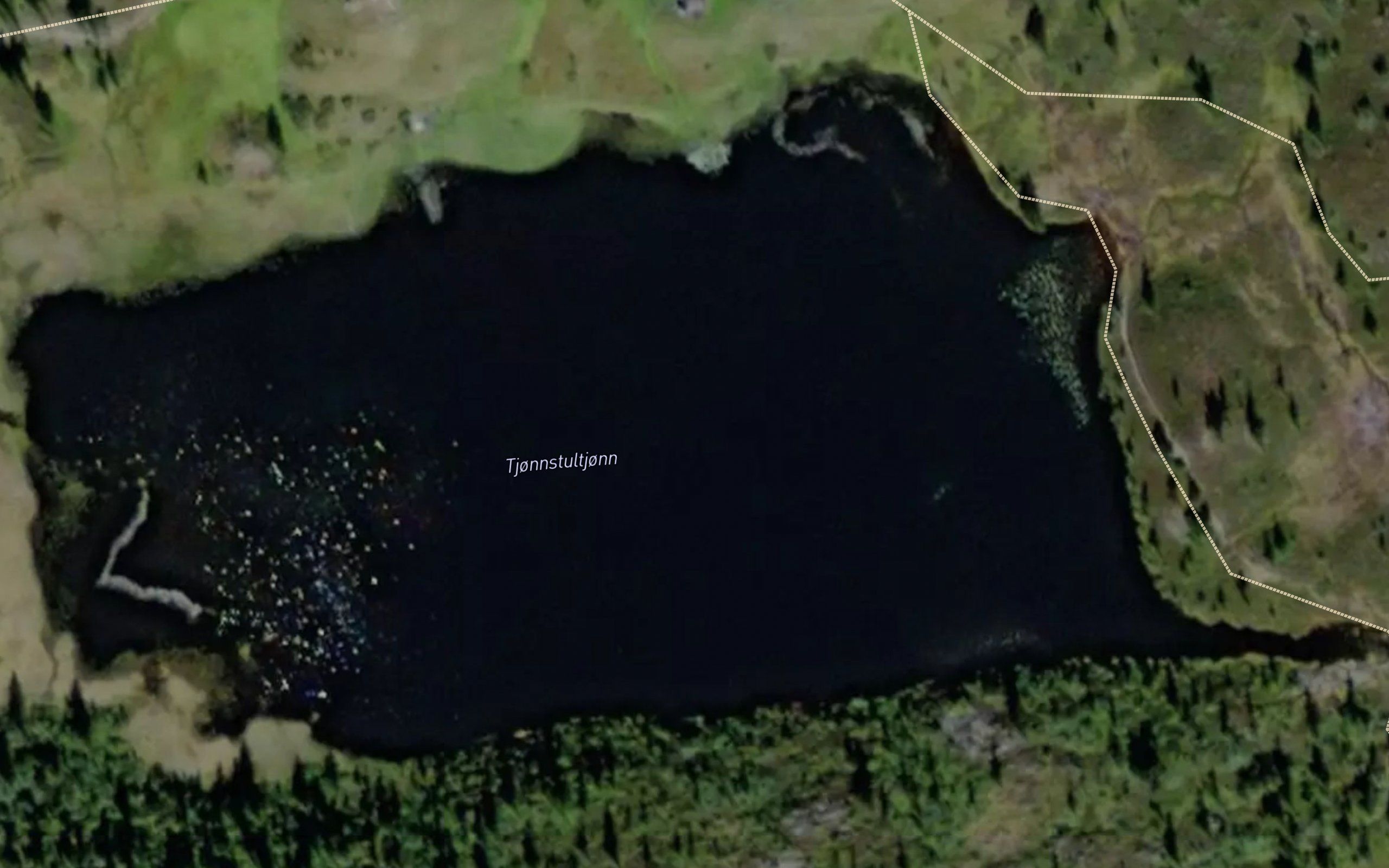 Tjornstultjornan