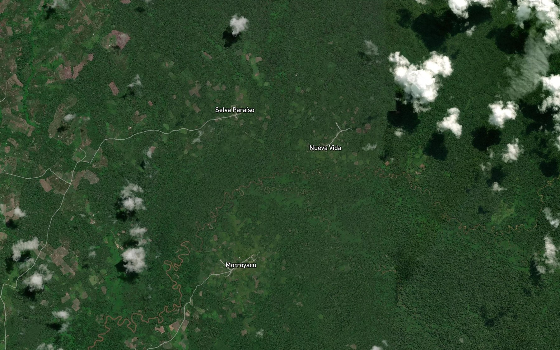 Satellite map of the Quebrada Nueva Vida