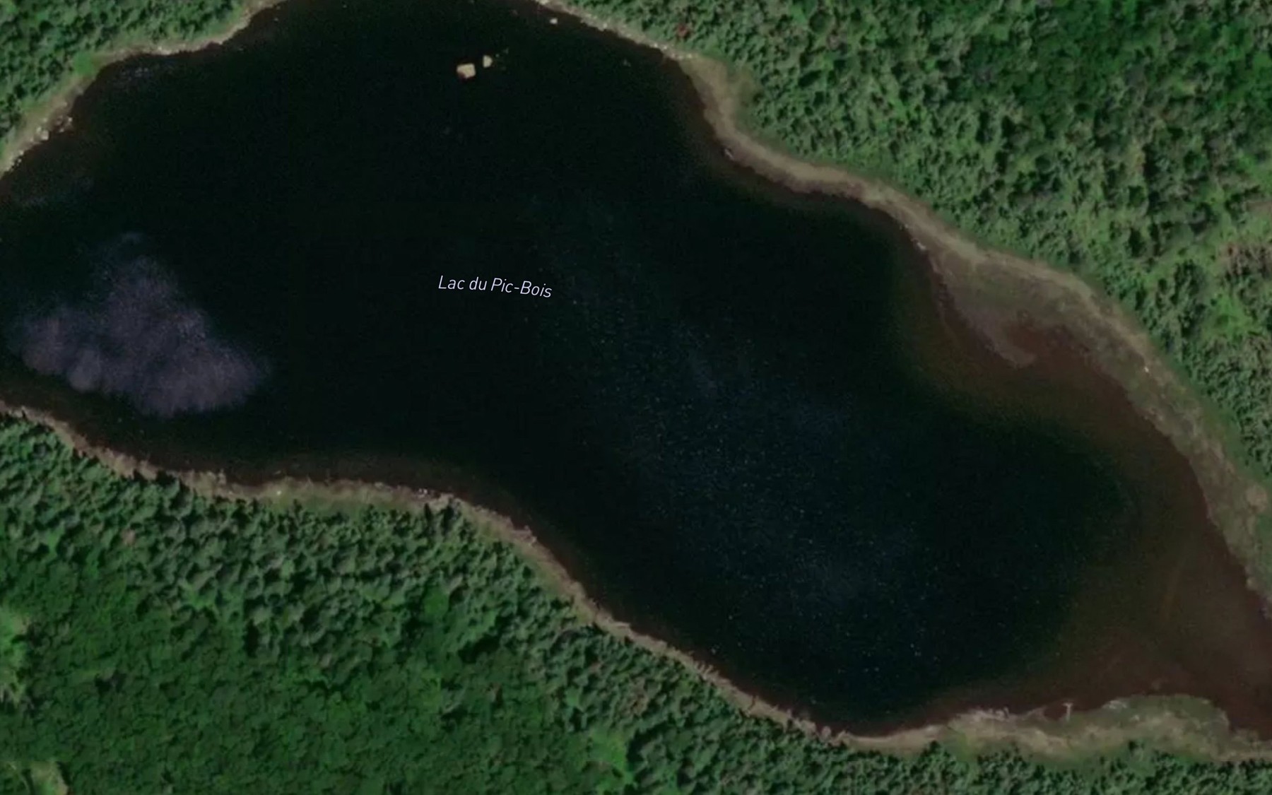 Satellite map of the Lac du Pic-Bois